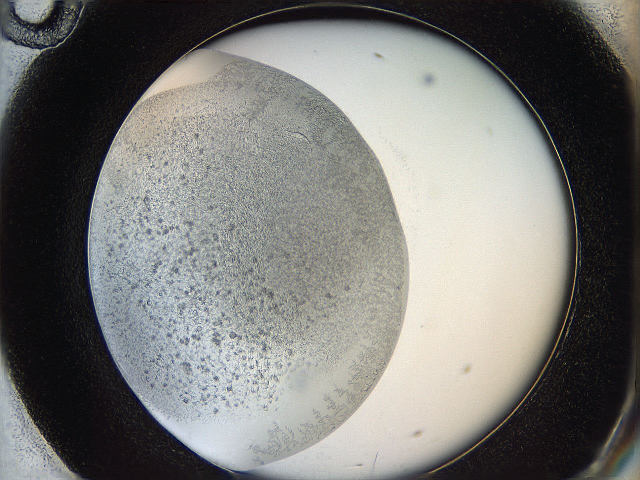 05y9_F10_ImagerDefaults_6.jpg