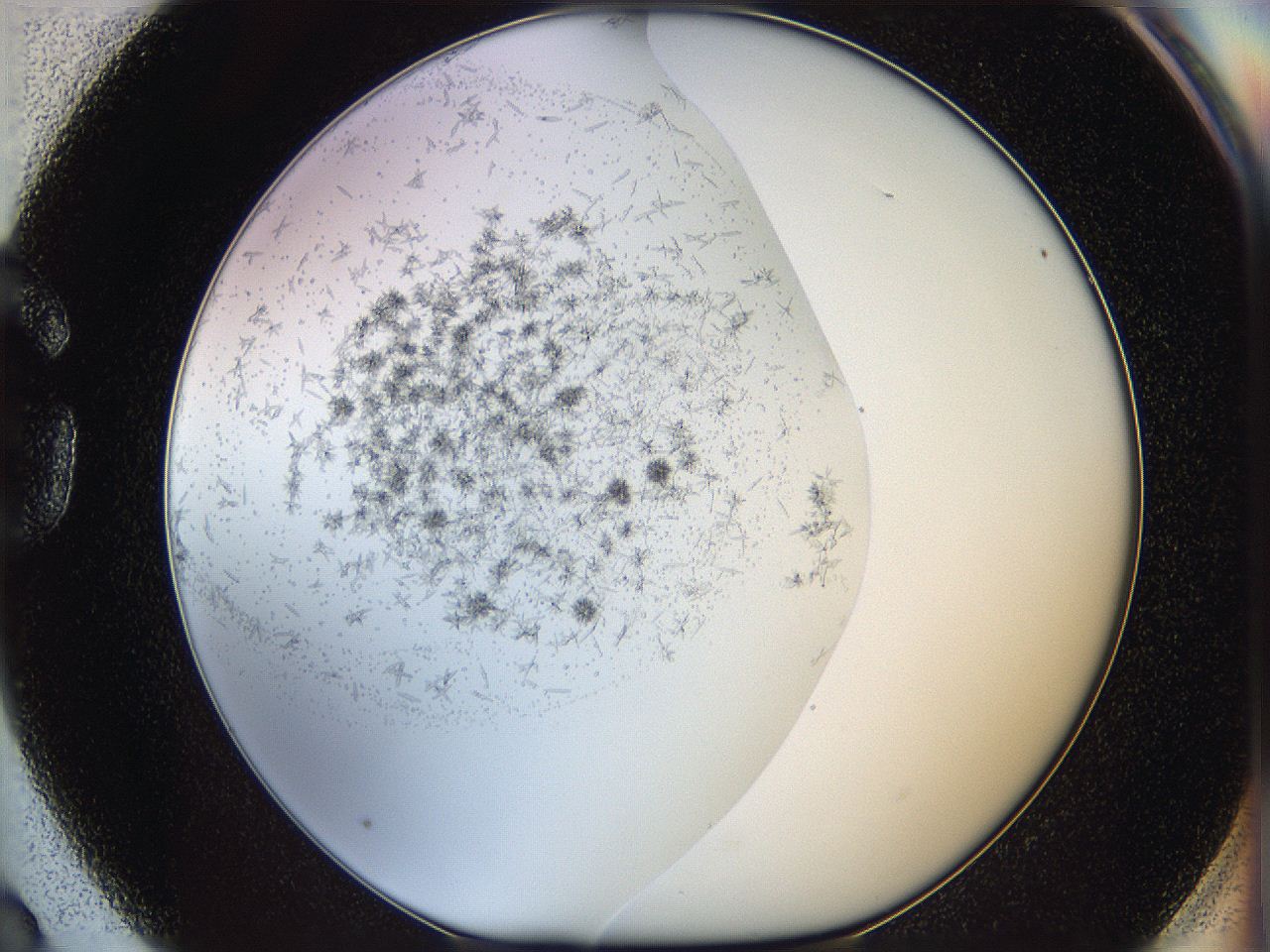 05y9_G3_ImagerDefaults_0.jpg