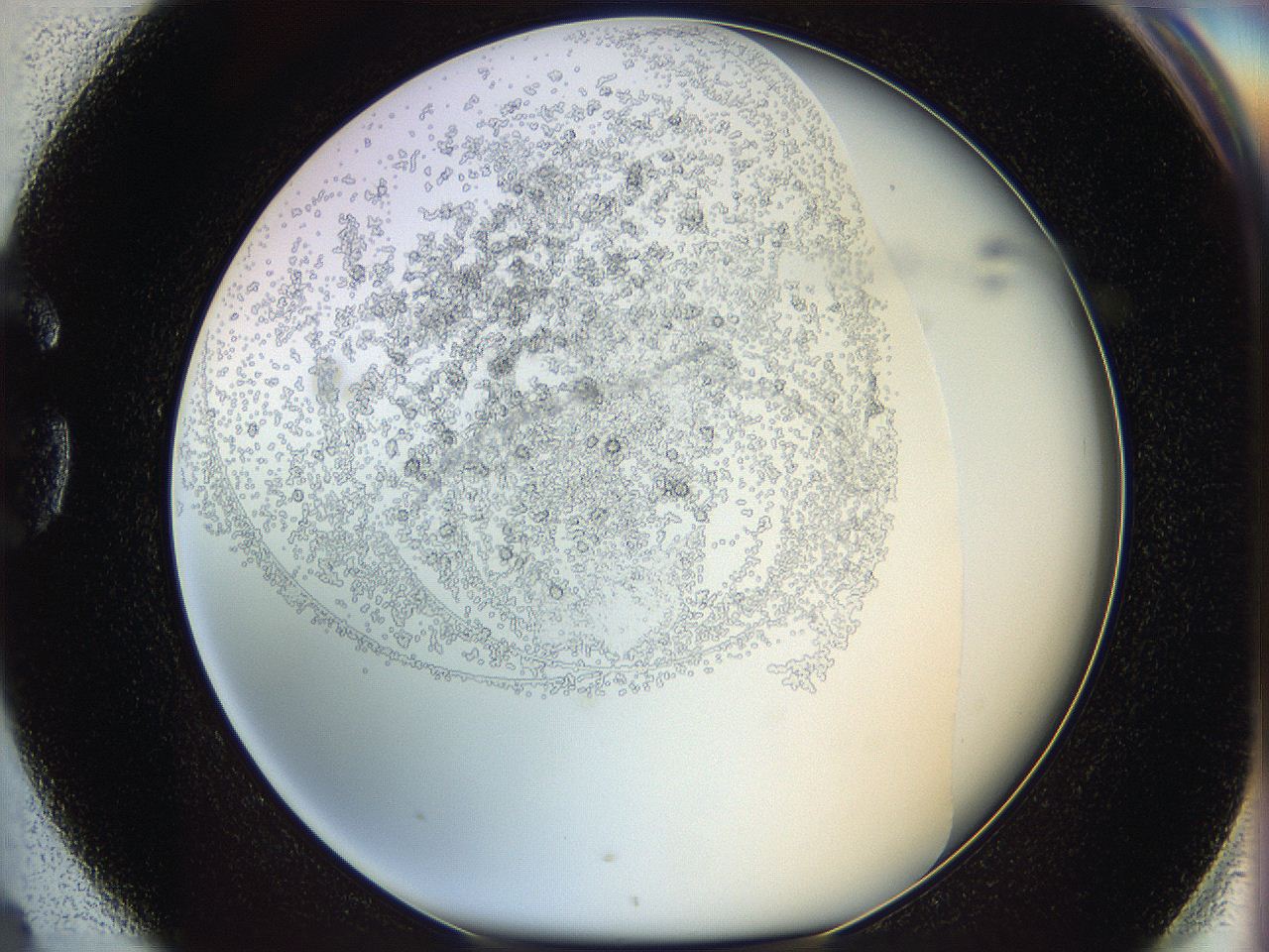 05y9_G4_ImagerDefaults_5.jpg