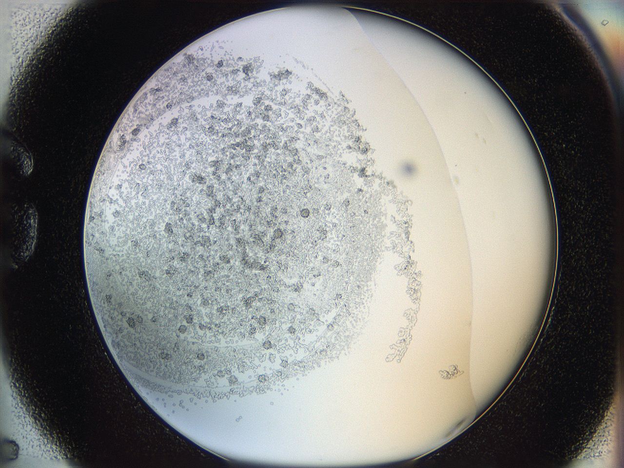 05y9_G5_ImagerDefaults_5.jpg