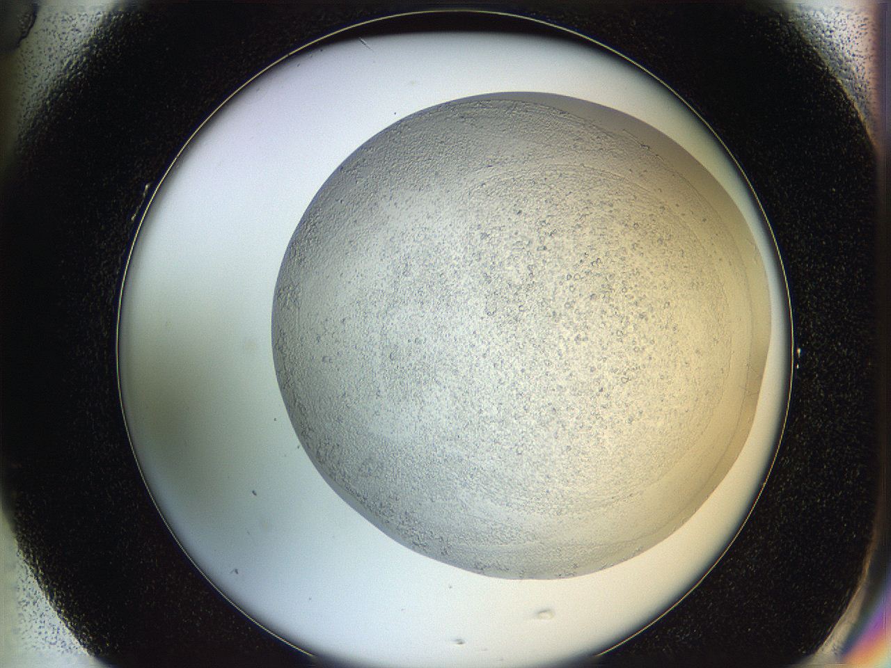 05y9_G5_ImagerDefaults_2.jpg