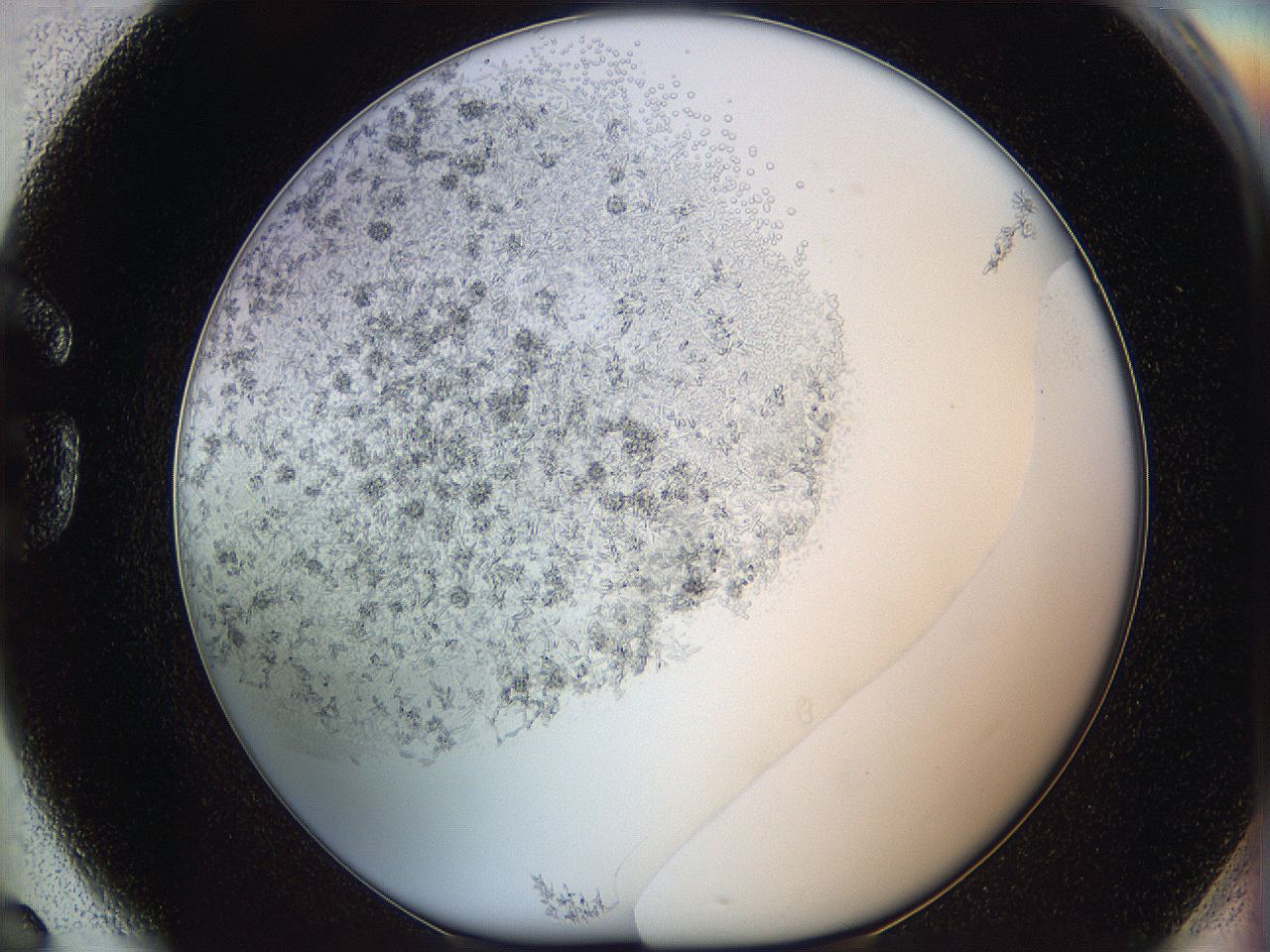 05y9_G6_ImagerDefaults_5.jpg