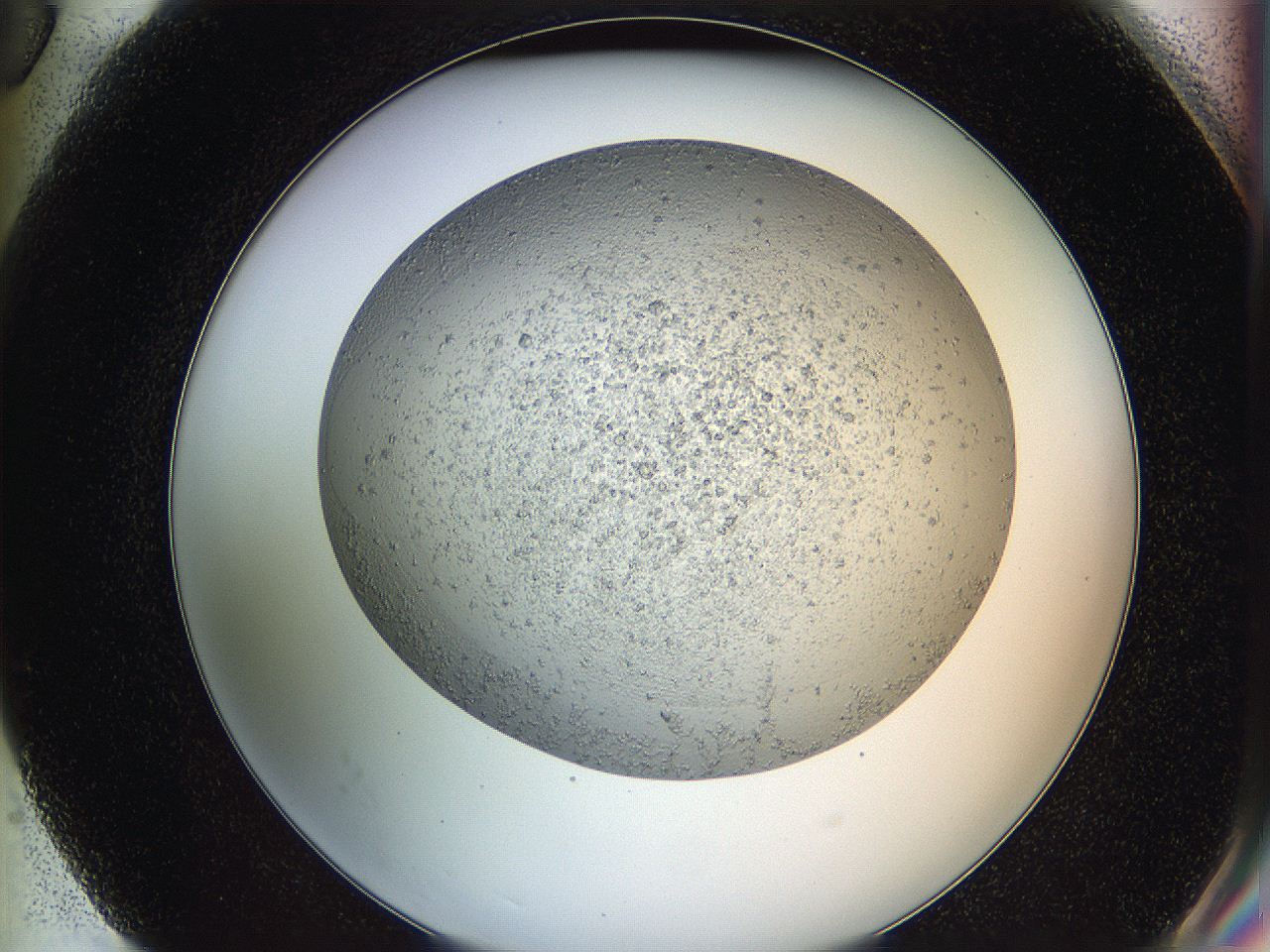 05y9_G6_ImagerDefaults_6.jpg