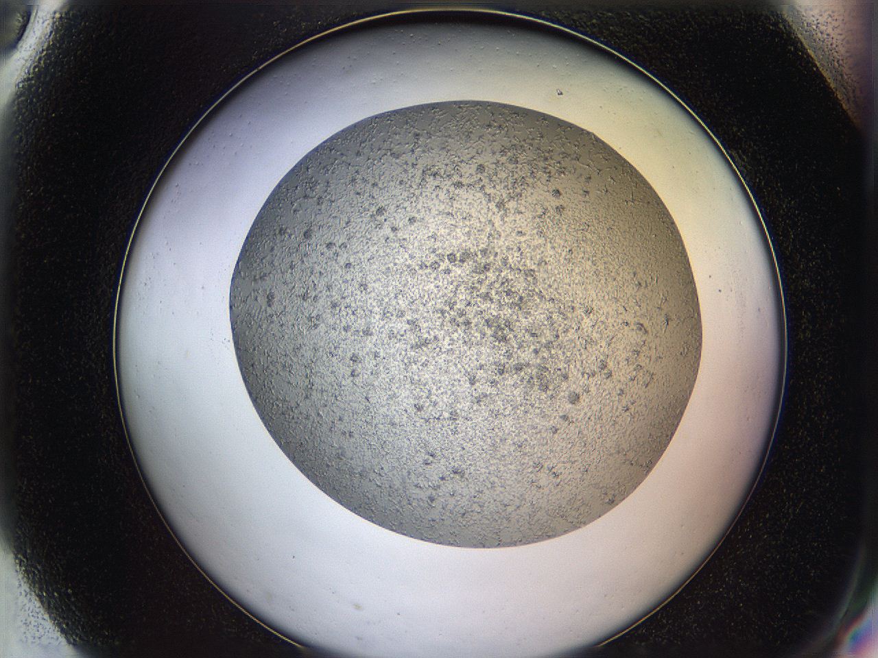 05y9_G9_ImagerDefaults_6.jpg