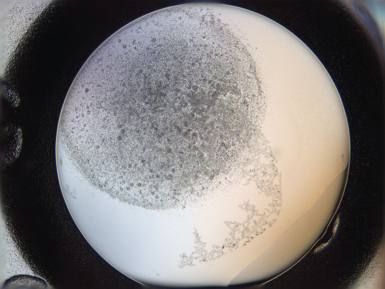05y9_G10_ImagerDefaults_5.jpg