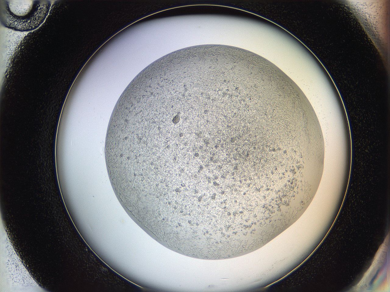 05y9_G10_ImagerDefaults_6.jpg