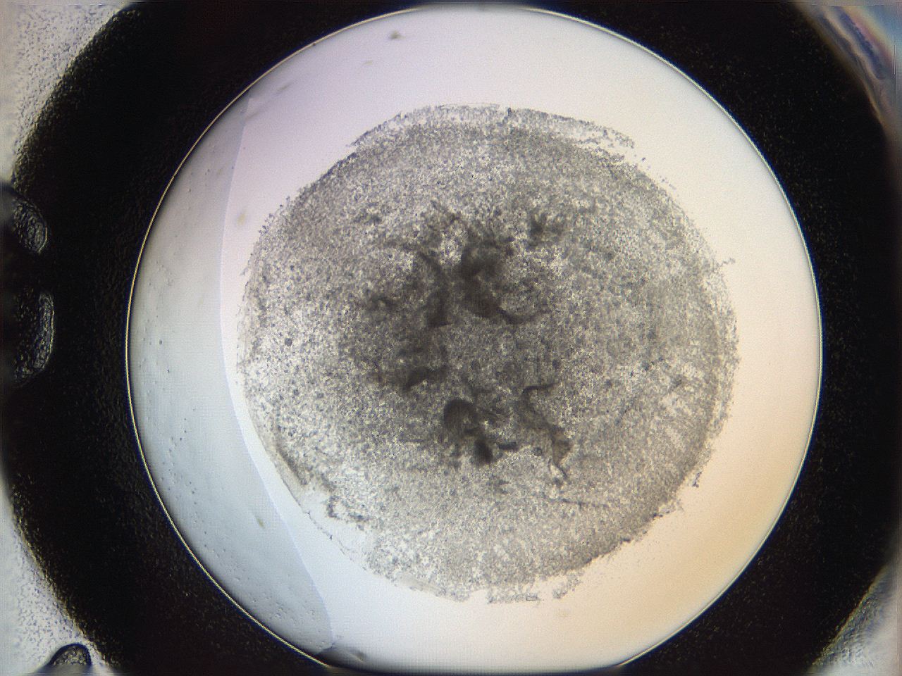 05y9_G11_ImagerDefaults_5.jpg