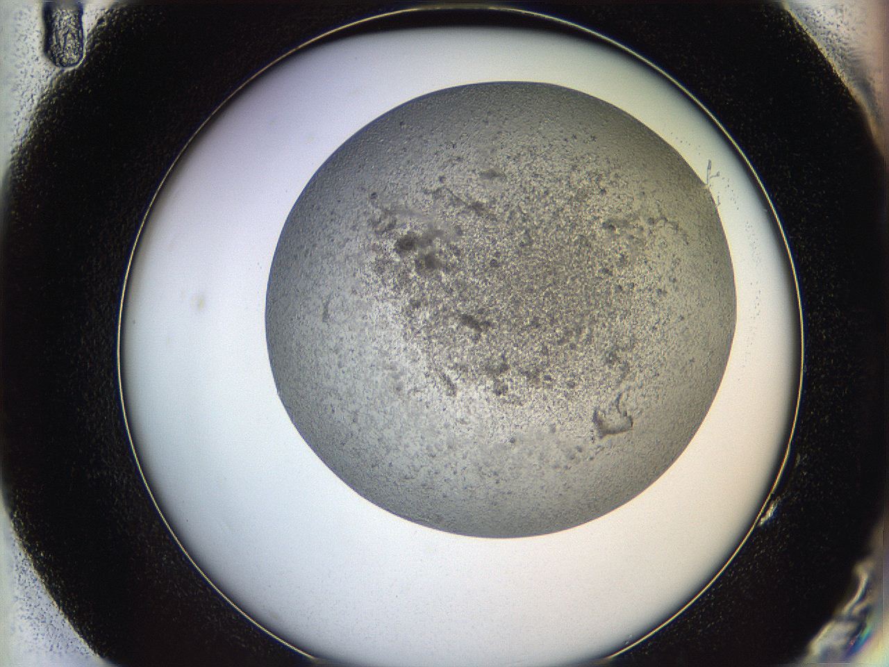 05y9_G11_ImagerDefaults_6.jpg