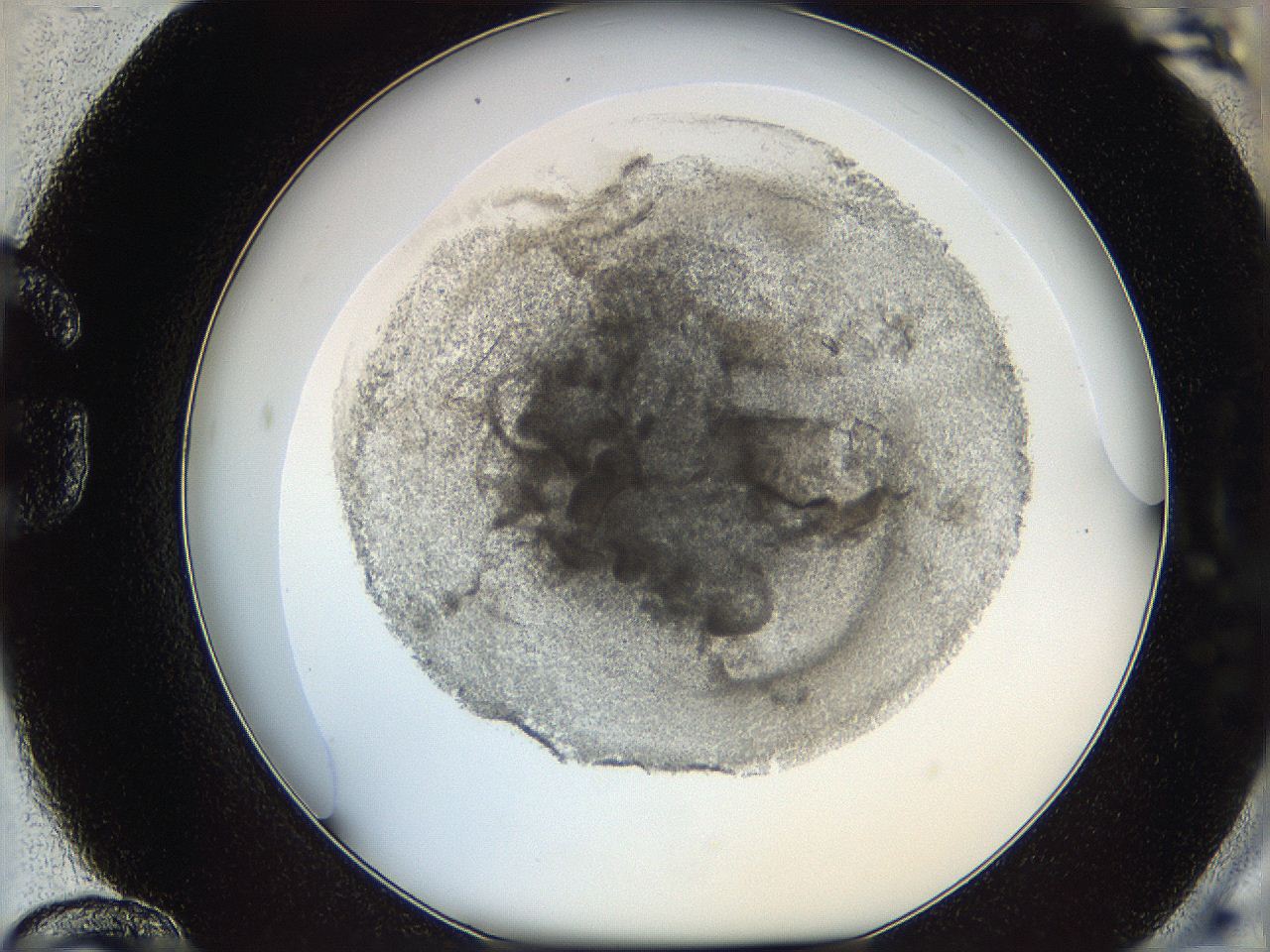 05y9_G12_ImagerDefaults_5.jpg