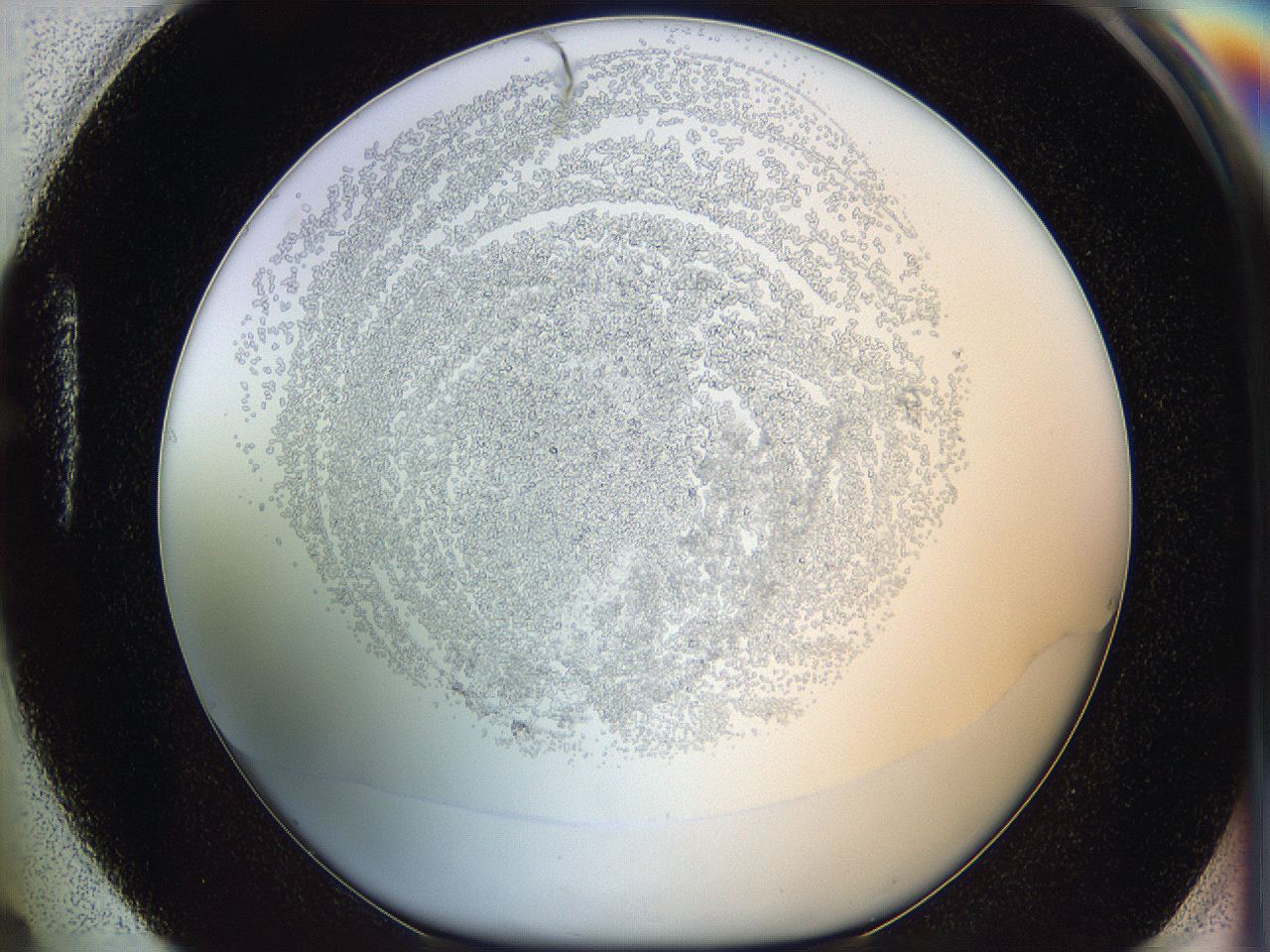 05y9_H4_ImagerDefaults_6.jpg
