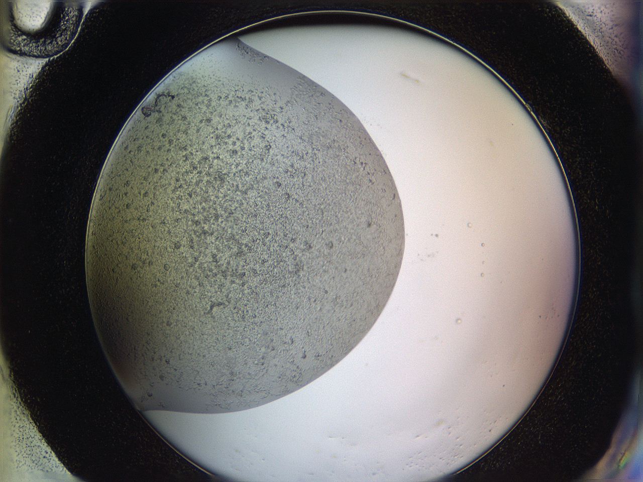 05y9_H10_ImagerDefaults_4.jpg