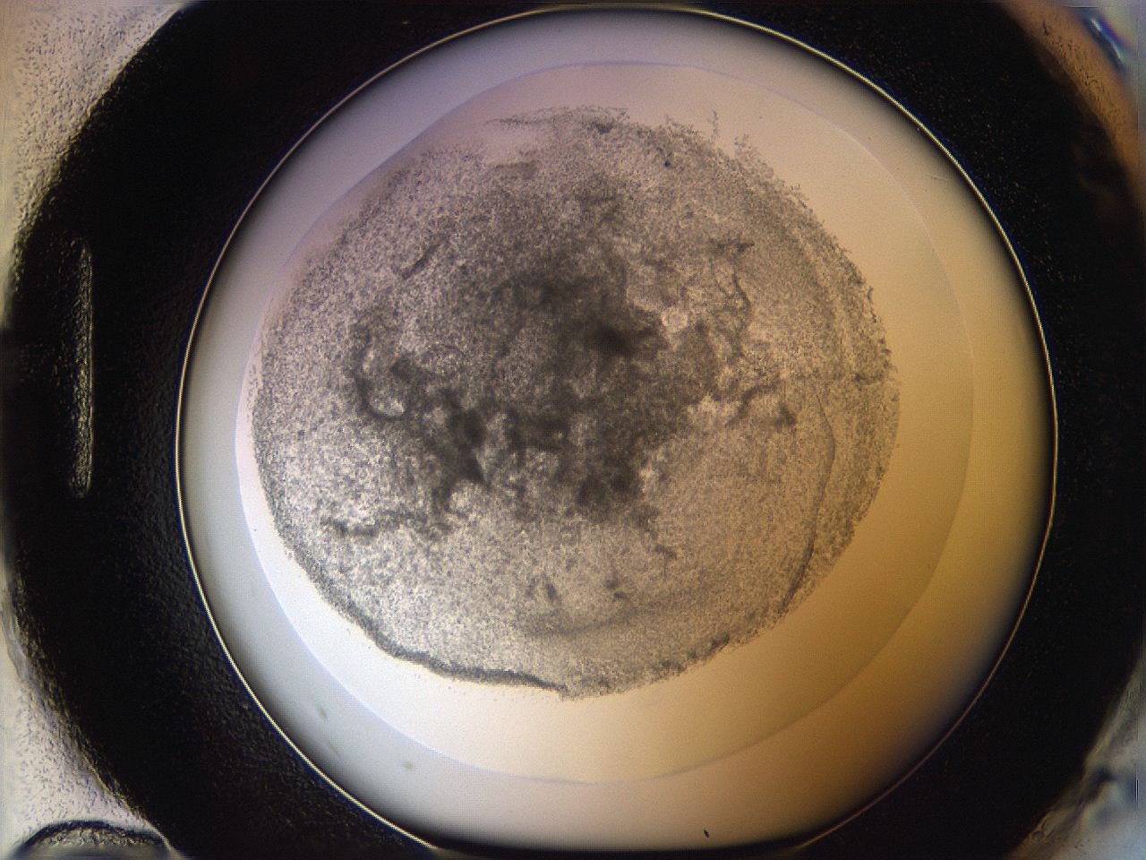 05y9_H12_ImagerDefaults_5.jpg