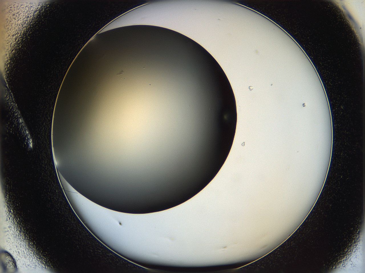 05ya_A8_ImagerDefaults_0.jpg
