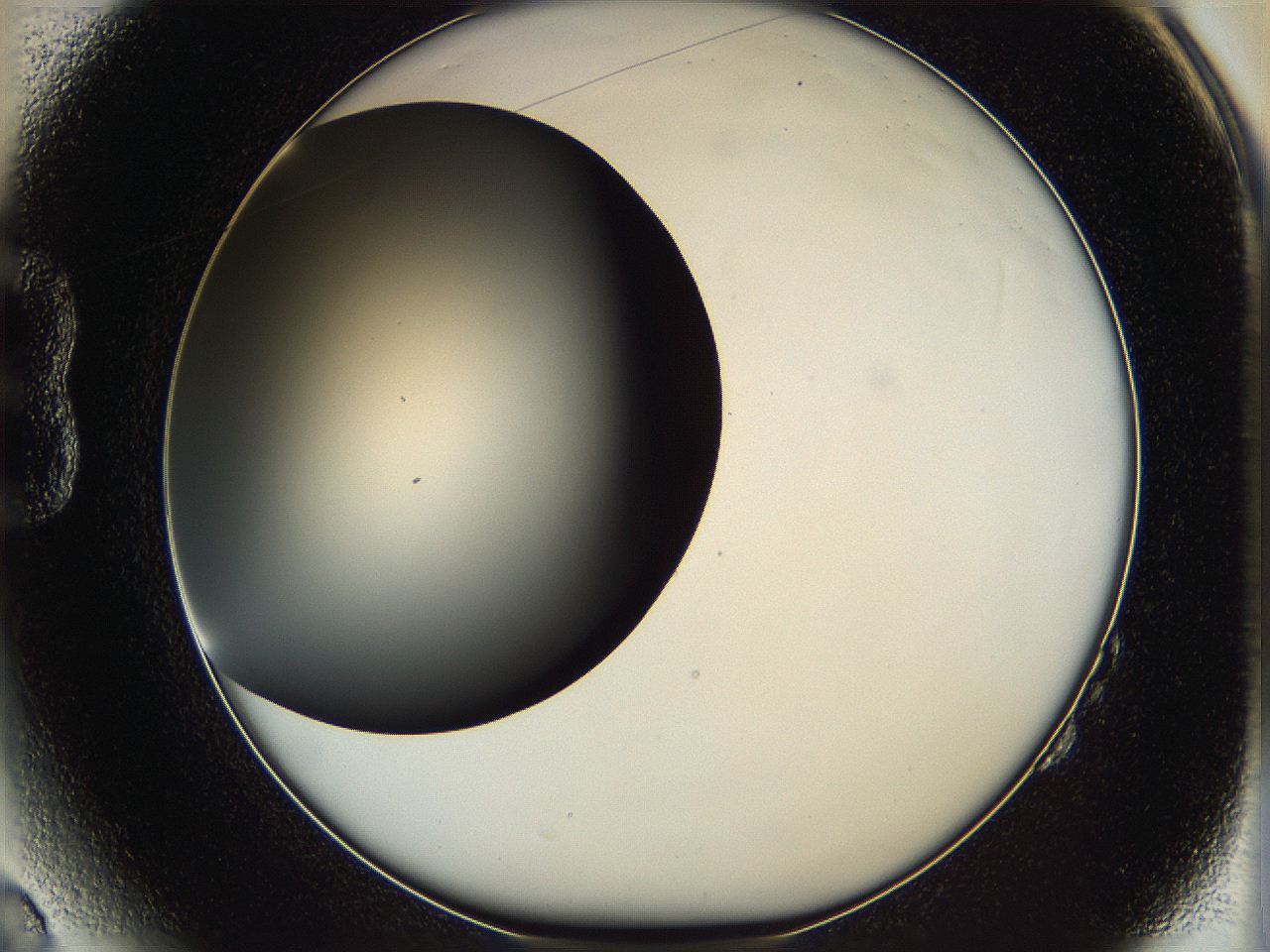 05ya_B2_ImagerDefaults_0.jpg