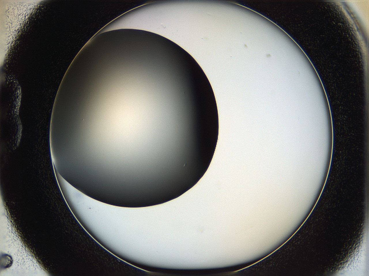 05ya_B5_ImagerDefaults_0.jpg