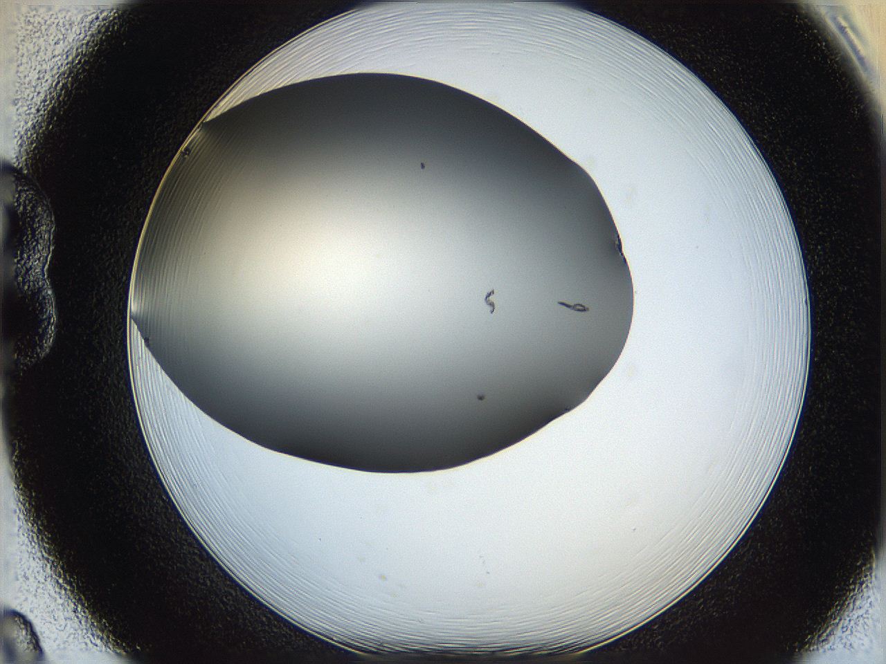 05ya_B8_ImagerDefaults_0.jpg