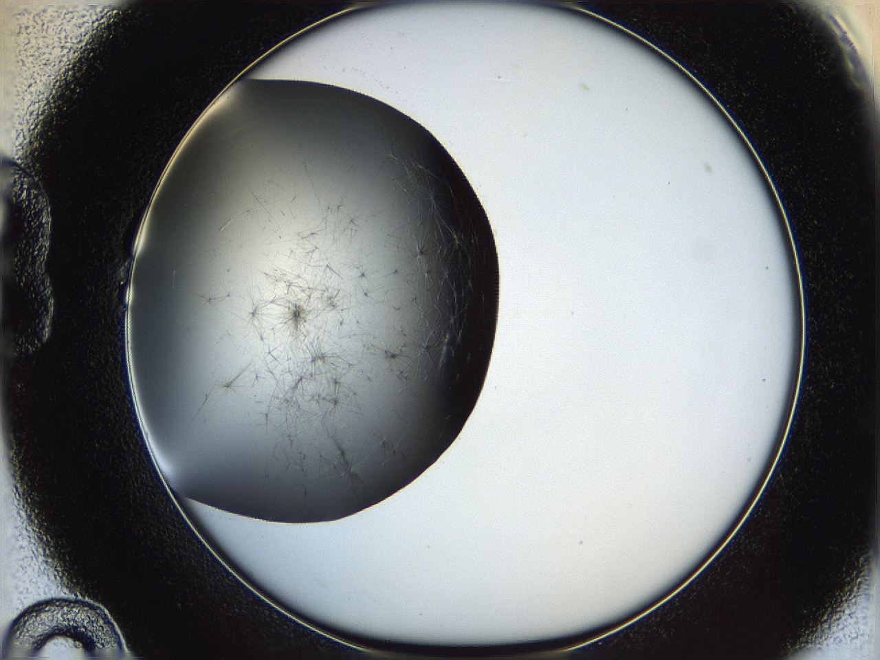 05ya_B10_ImagerDefaults_7.jpg