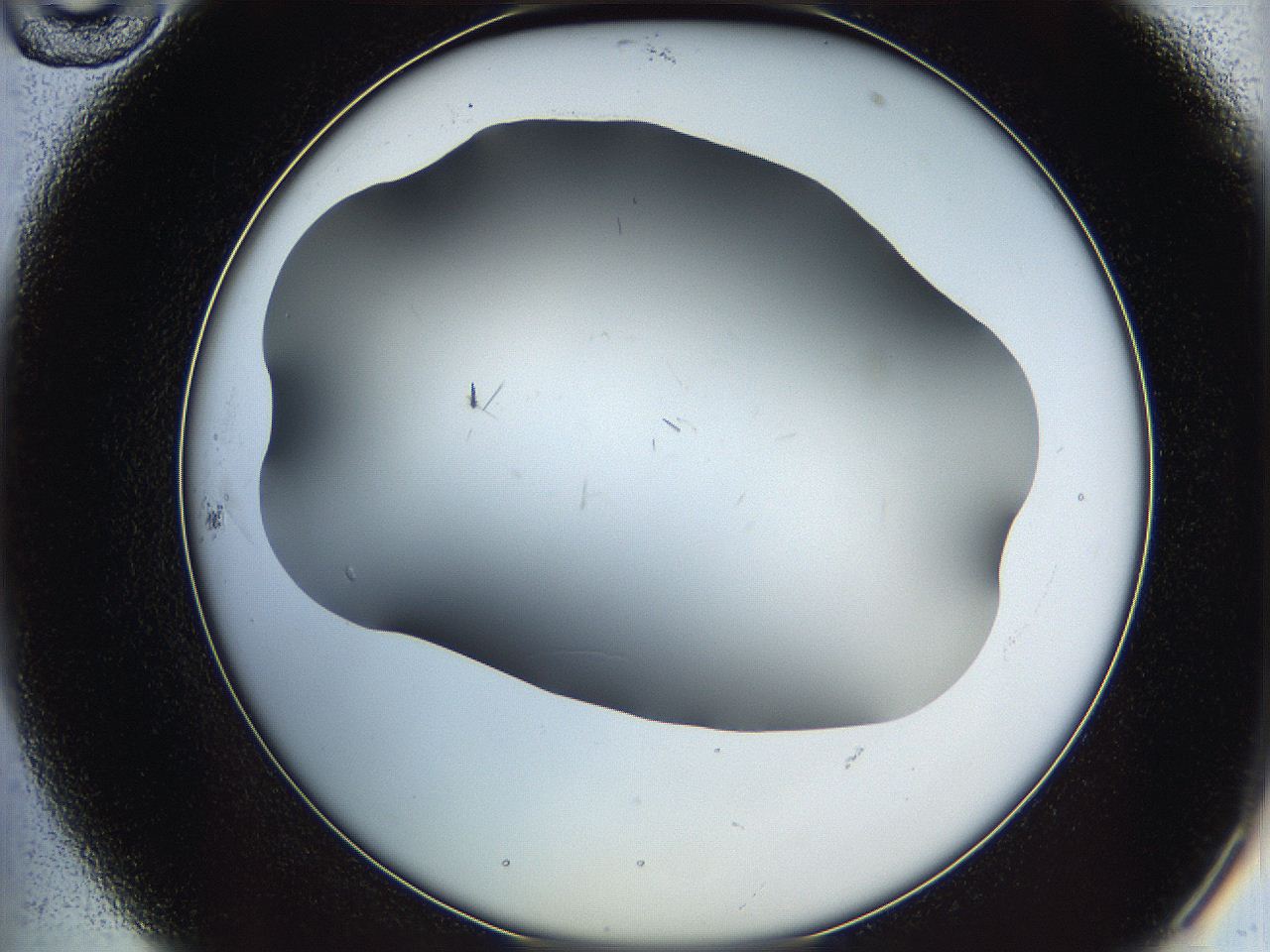05ya_B10_ImagerDefaults_0.jpg