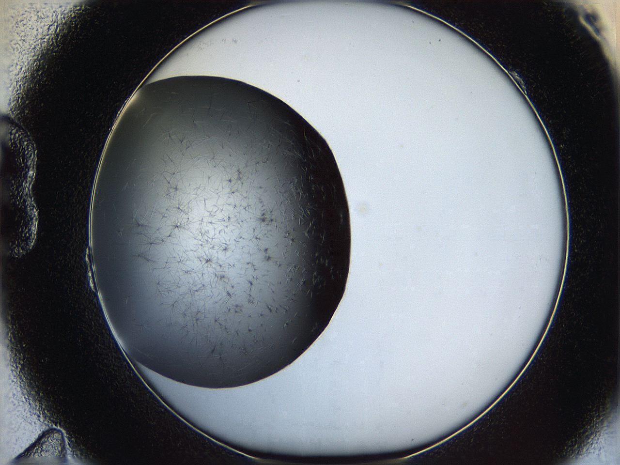 05ya_B11_ImagerDefaults_6.jpg