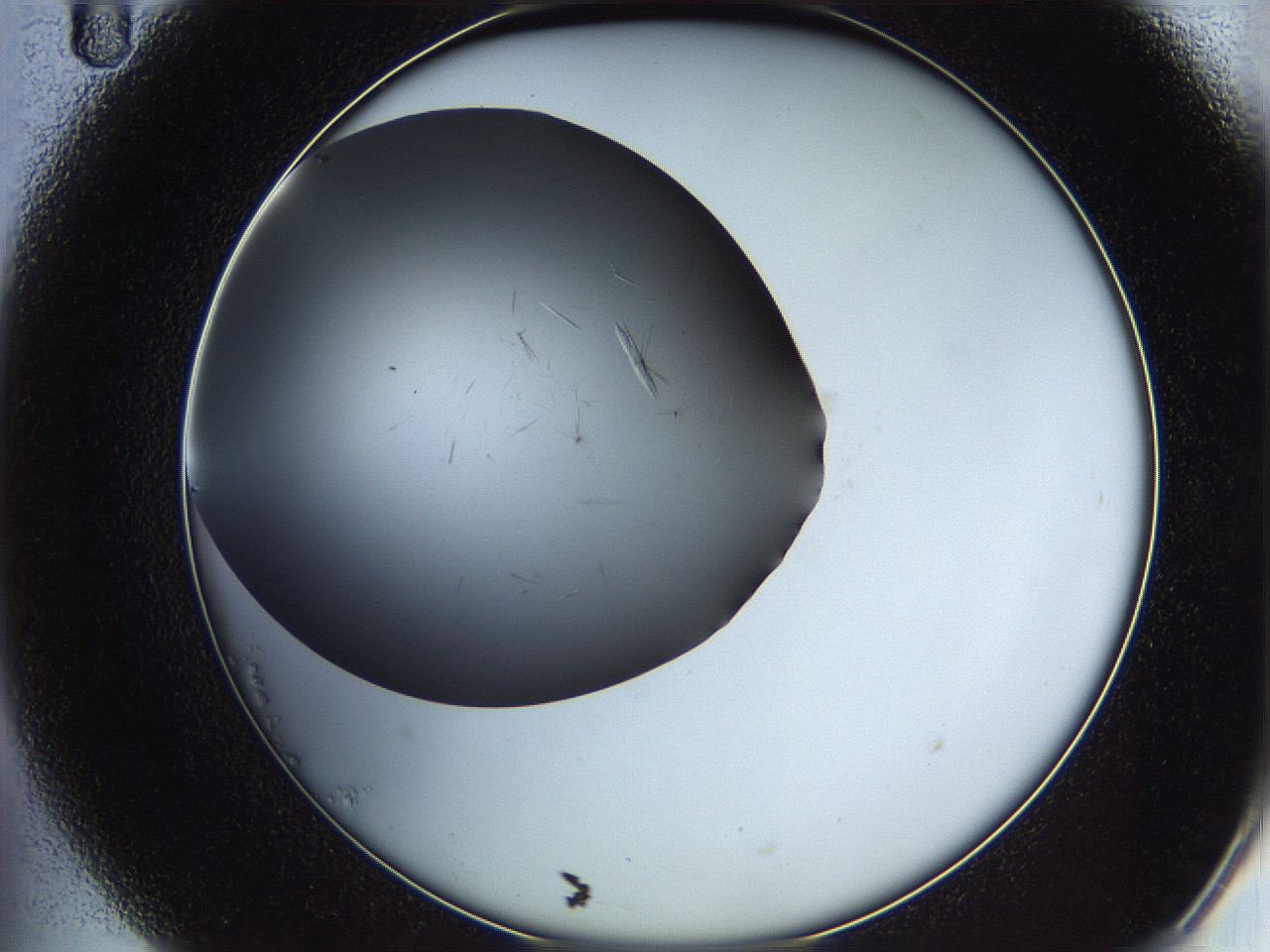 05ya_B11_ImagerDefaults_7.jpg