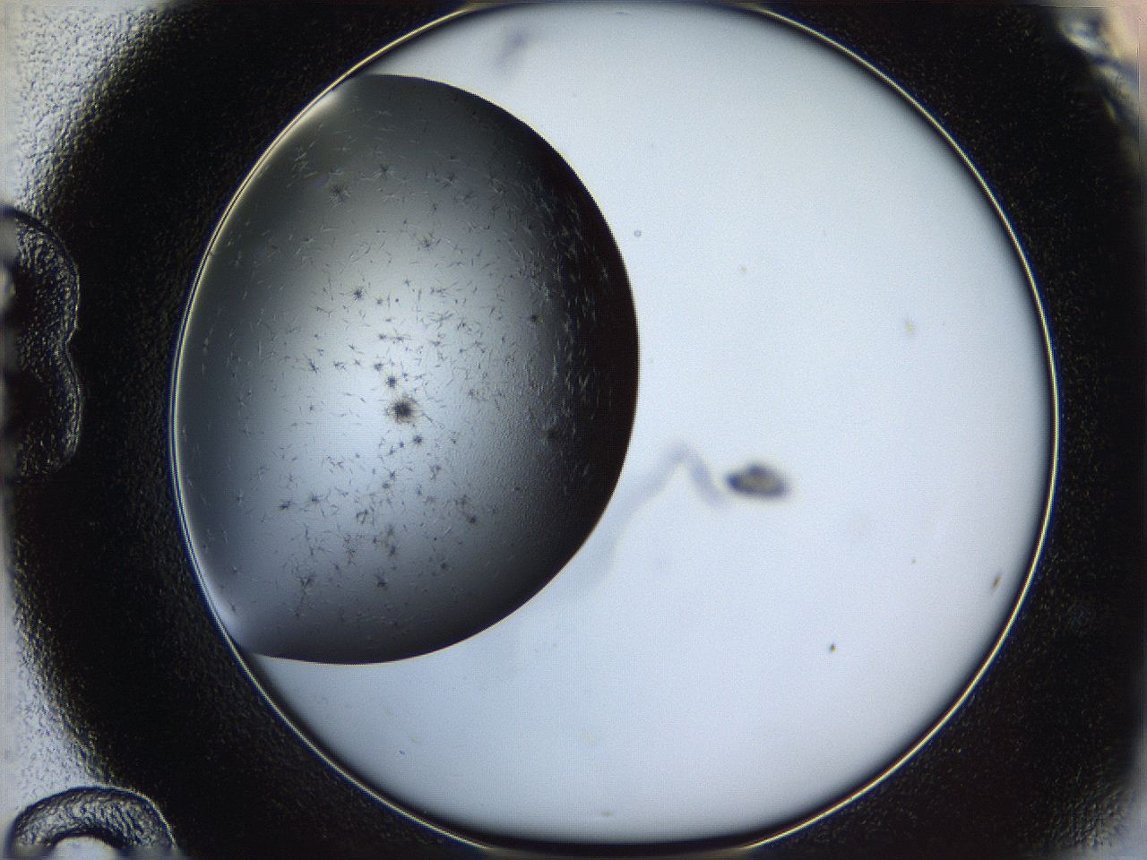 05ya_B12_ImagerDefaults_6.jpg