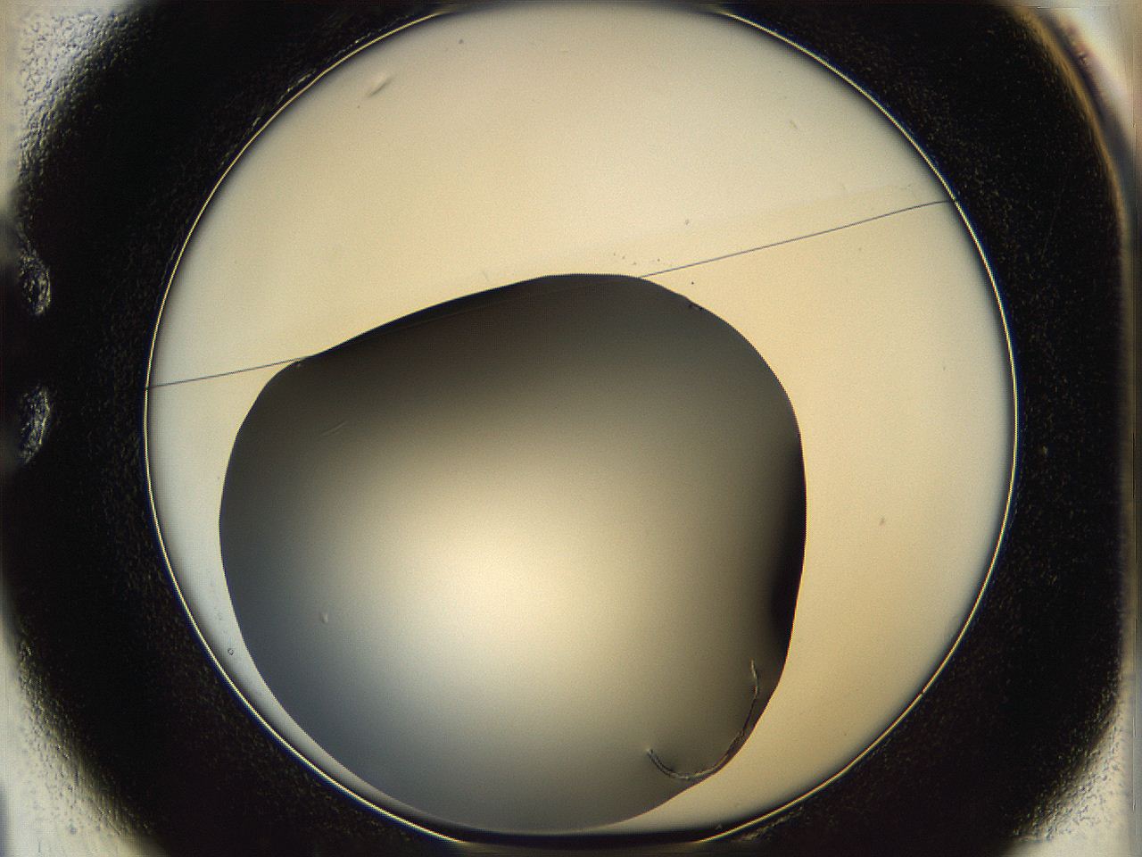 05ya_C1_ImagerDefaults_0.jpg