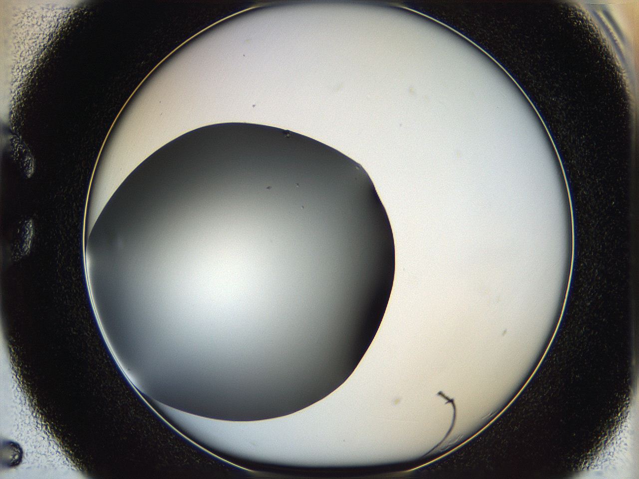 05ya_C5_ImagerDefaults_0.jpg