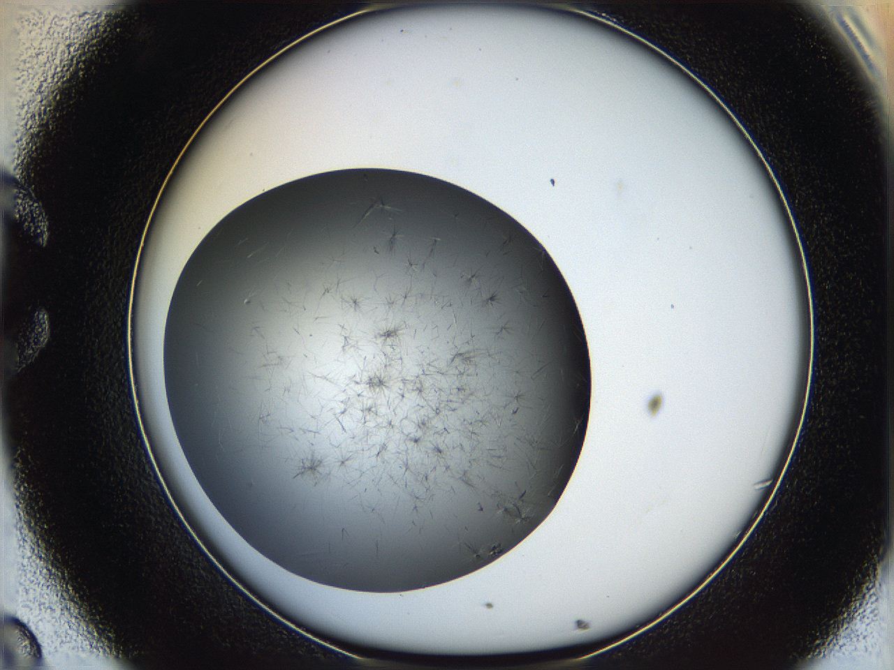 05ya_C8_ImagerDefaults_6.jpg