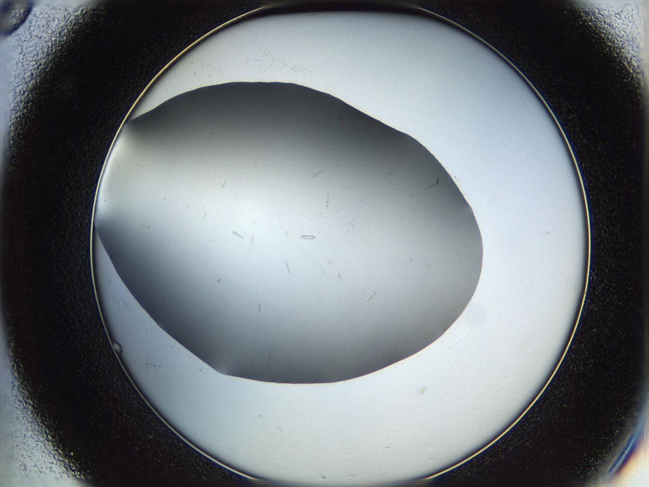 05ya_C8_ImagerDefaults_2.jpg