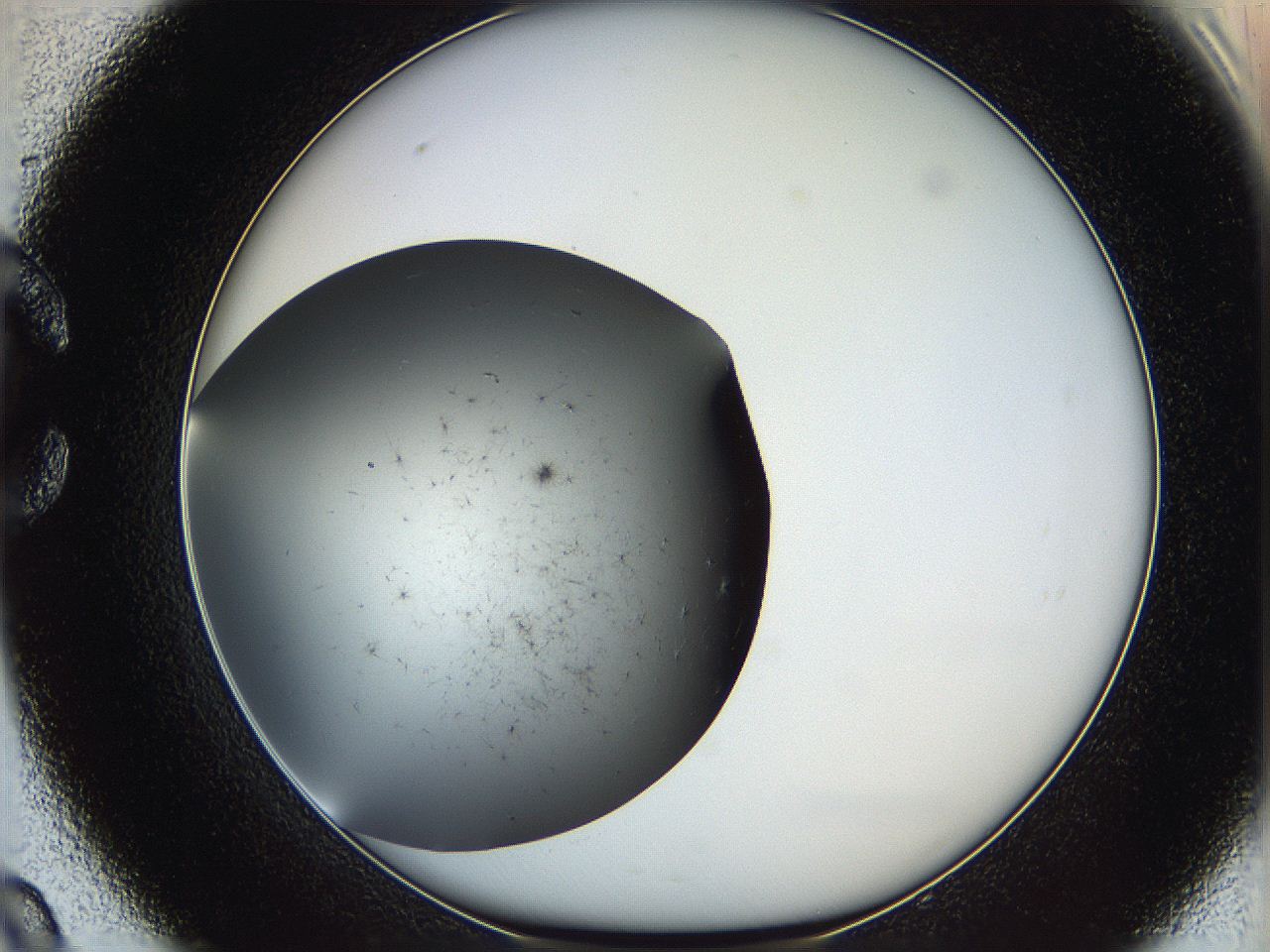 05ya_C9_ImagerDefaults_6.jpg