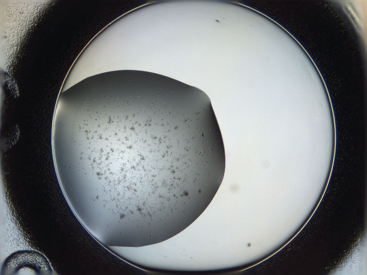 05ya_C10_ImagerDefaults_6.jpg