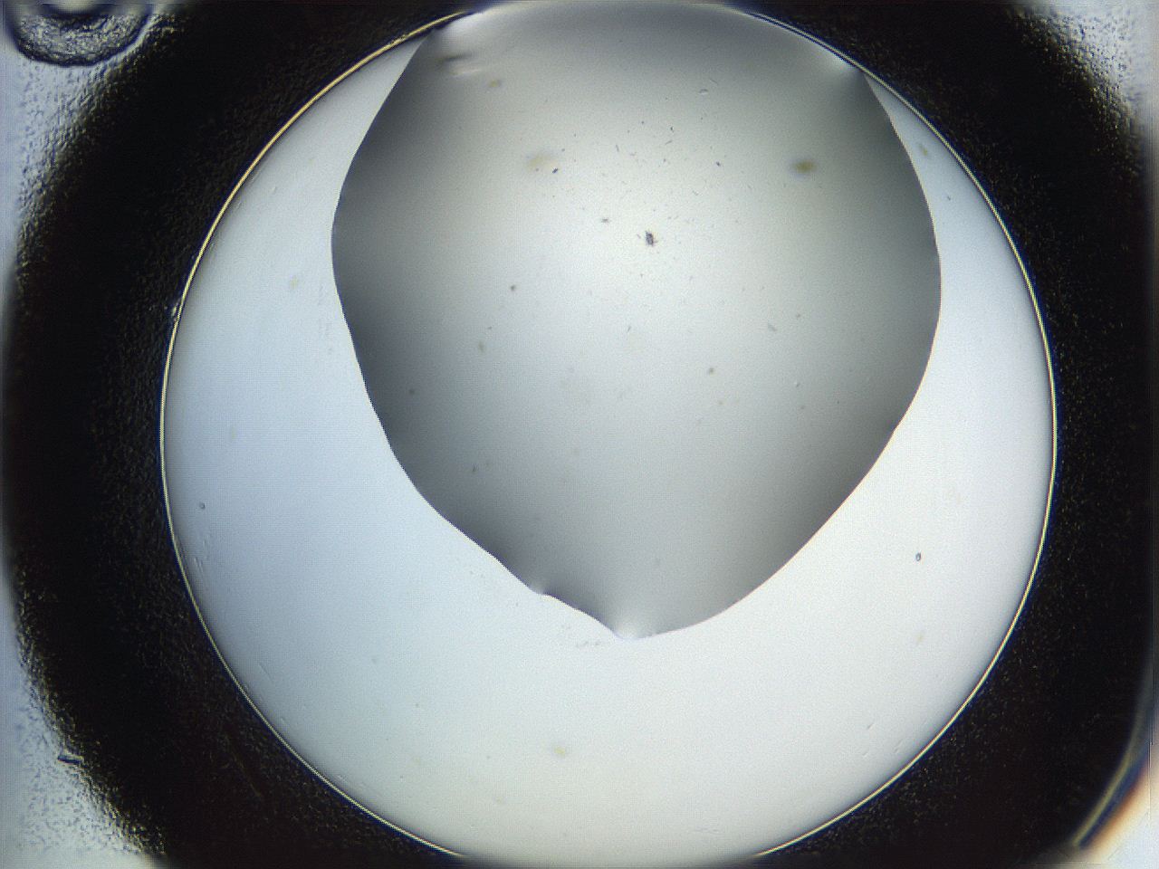 05ya_C10_ImagerDefaults_0.jpg