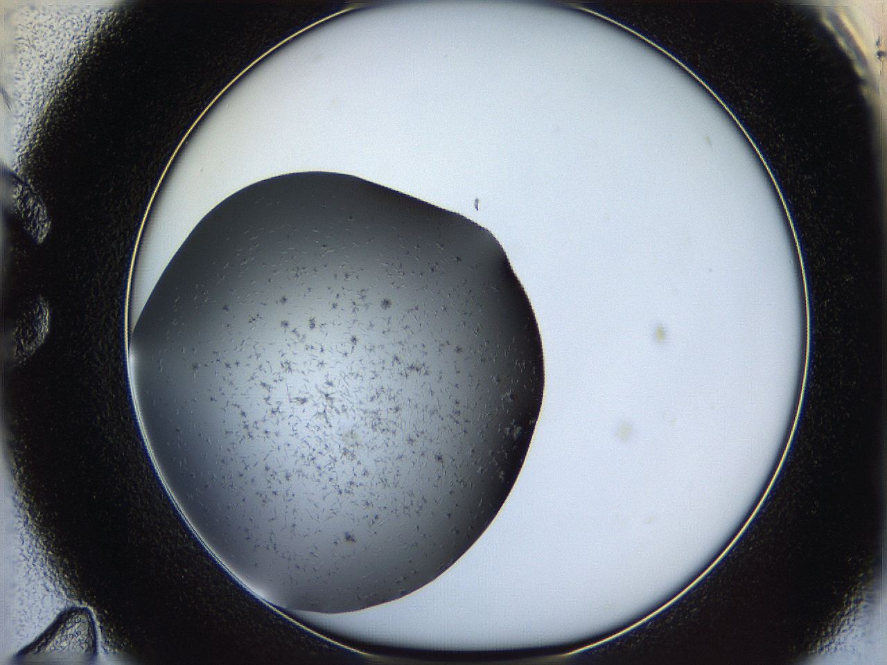 05ya_C11_ImagerDefaults_6.jpg