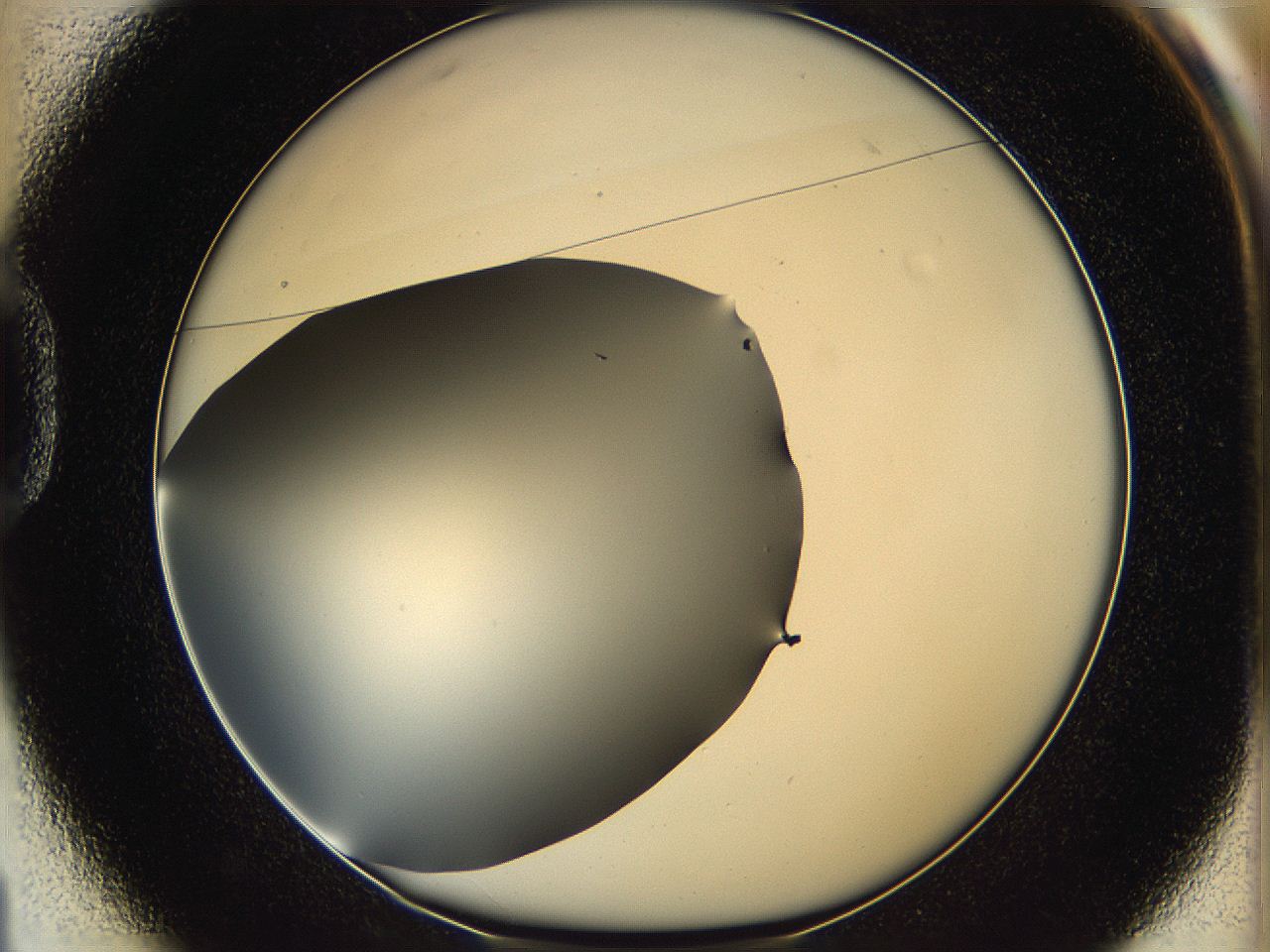 05ya_D1_ImagerDefaults_0.jpg