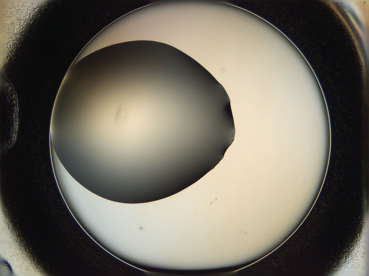 05ya_D2_ImagerDefaults_0.jpg