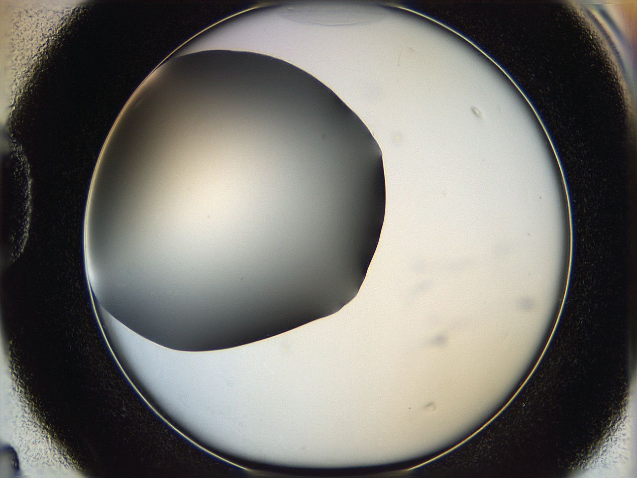 05ya_D4_ImagerDefaults_0.jpg