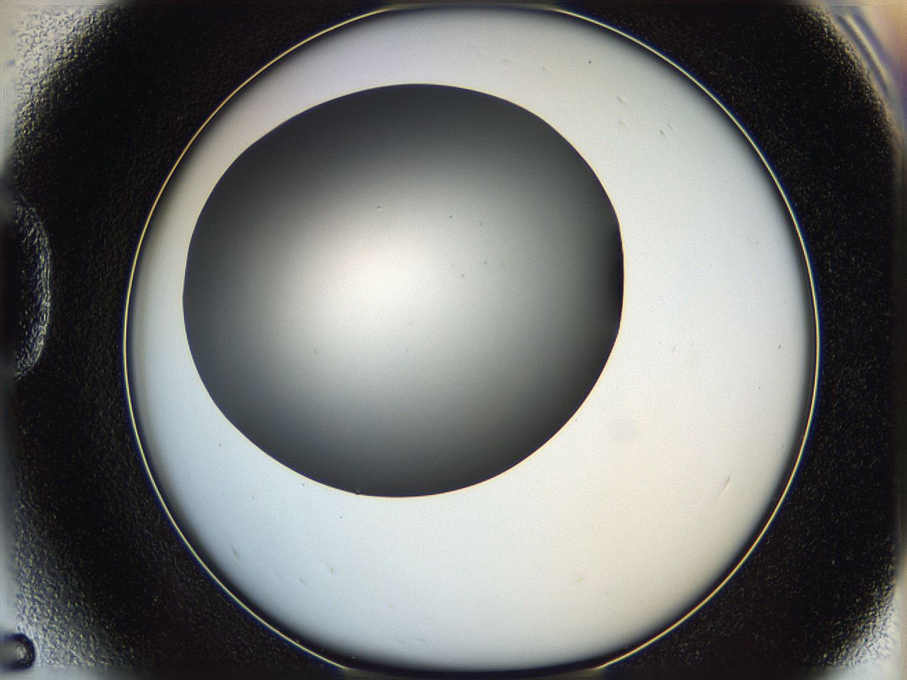 05ya_D5_ImagerDefaults_0.jpg
