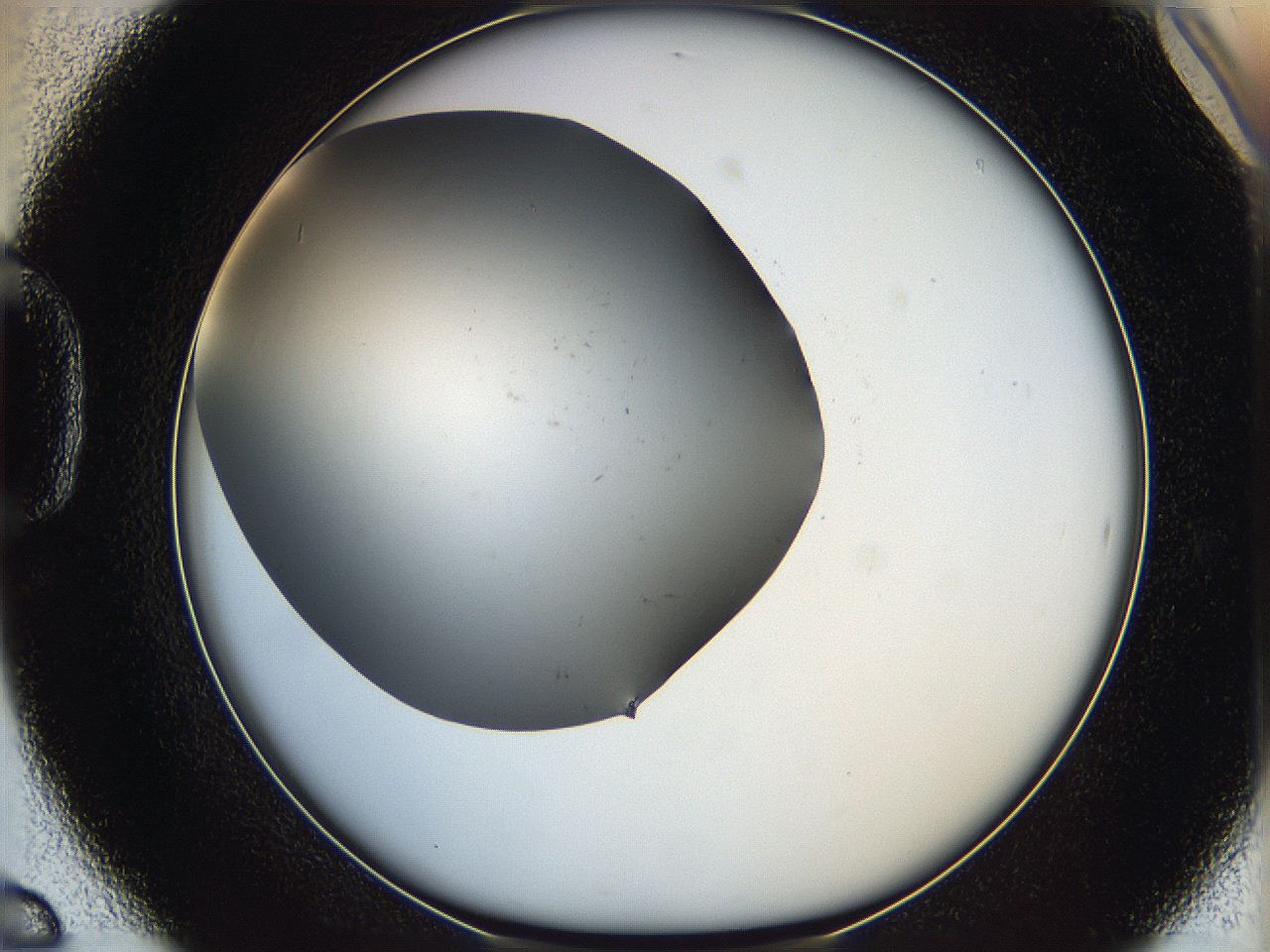 05ya_D6_ImagerDefaults_0.jpg