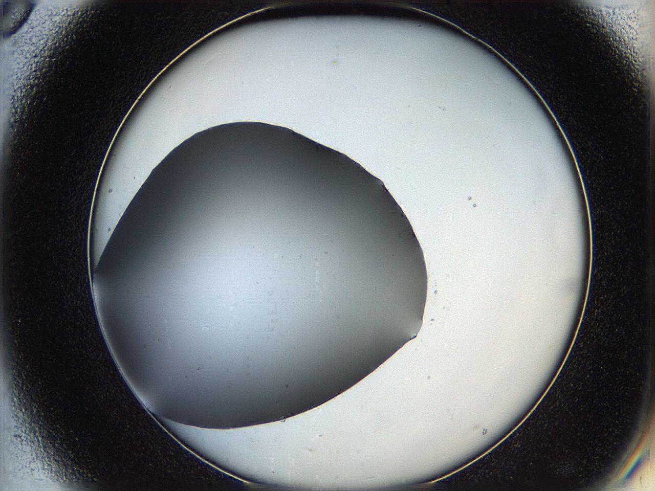 05ya_D8_ImagerDefaults_0.jpg