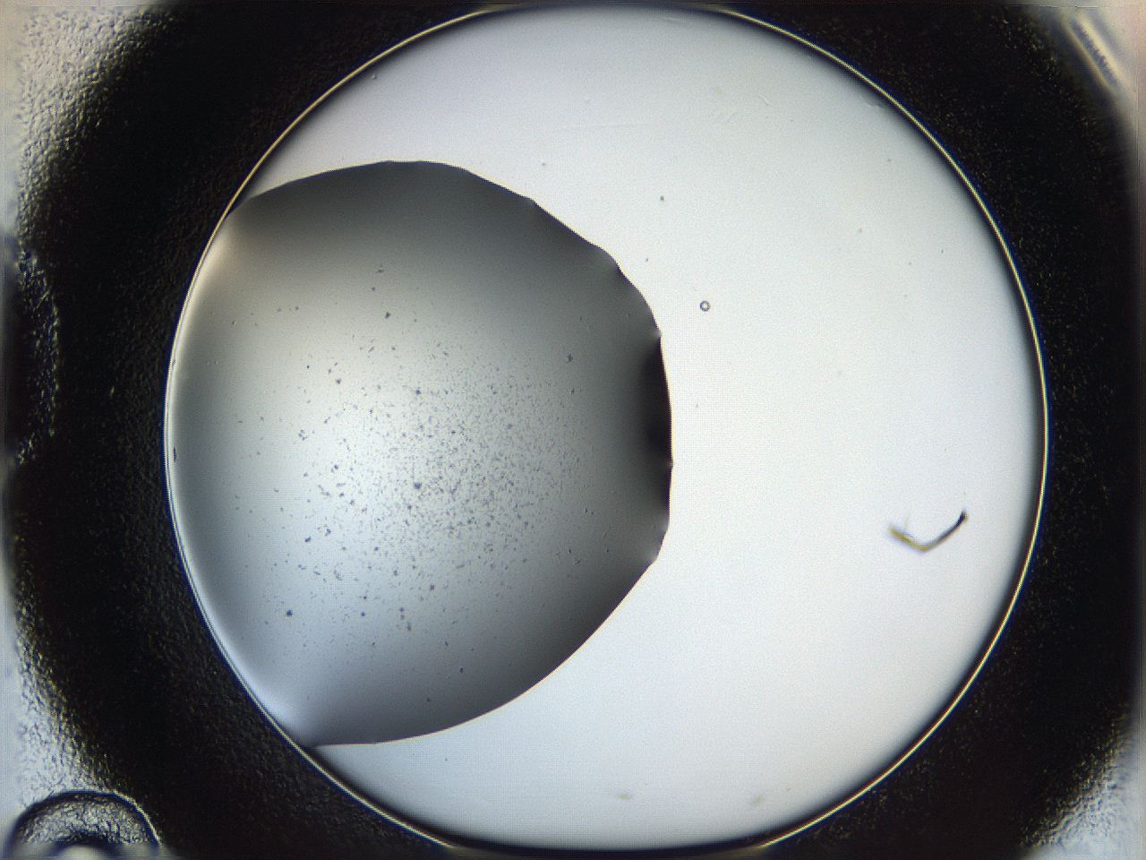 05ya_D10_ImagerDefaults_6.jpg