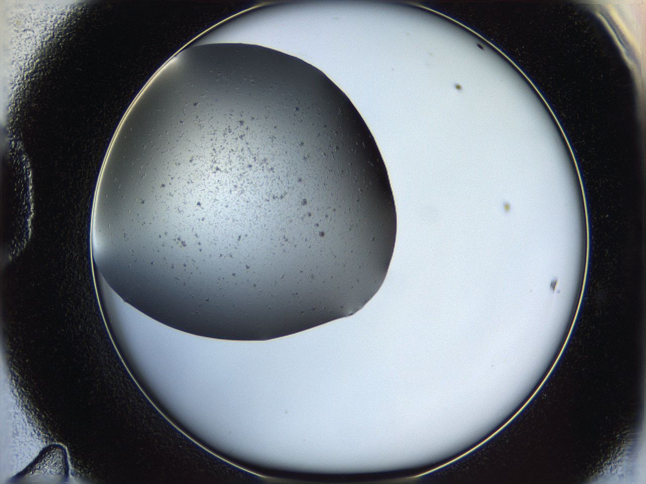 05ya_D11_ImagerDefaults_6.jpg