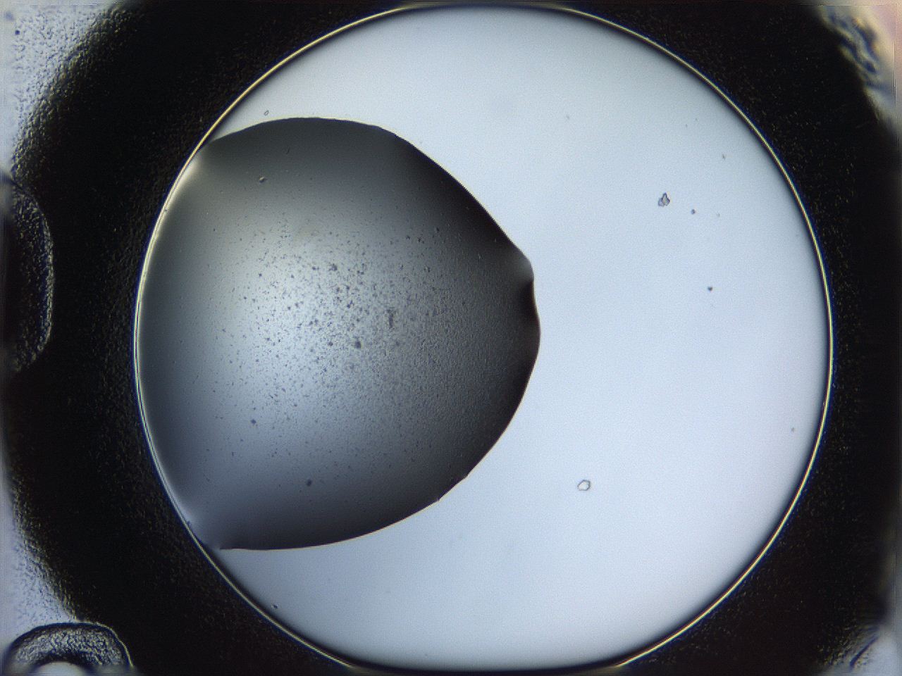 05ya_D12_ImagerDefaults_6.jpg