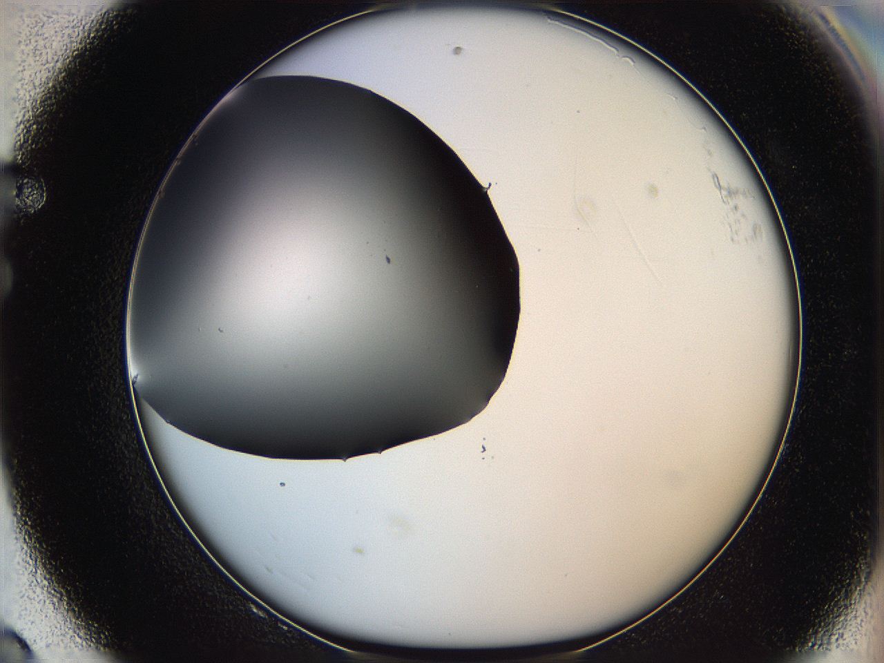 05ya_F8_ImagerDefaults_0.jpg
