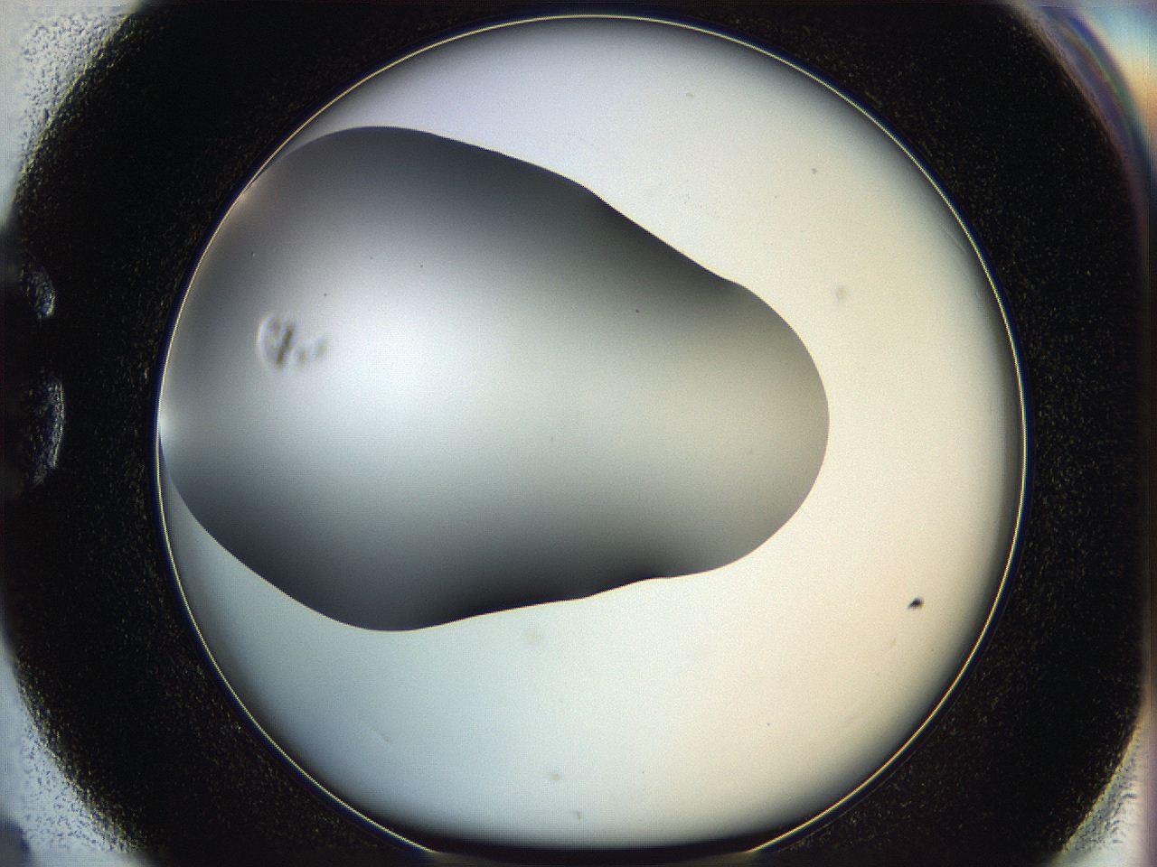 05ya_G4_ImagerDefaults_0.jpg