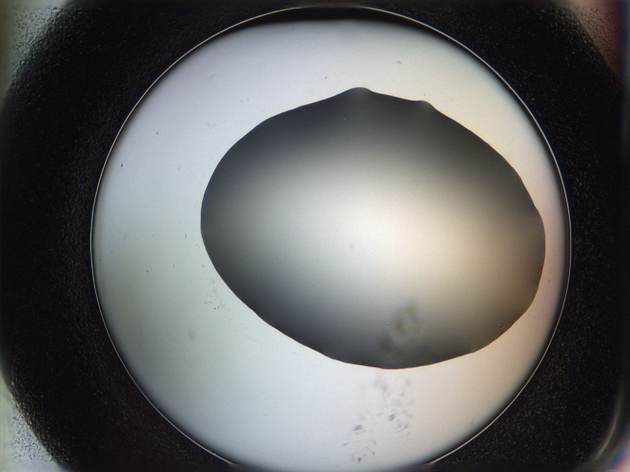 05ya_G7_ImagerDefaults_0.jpg