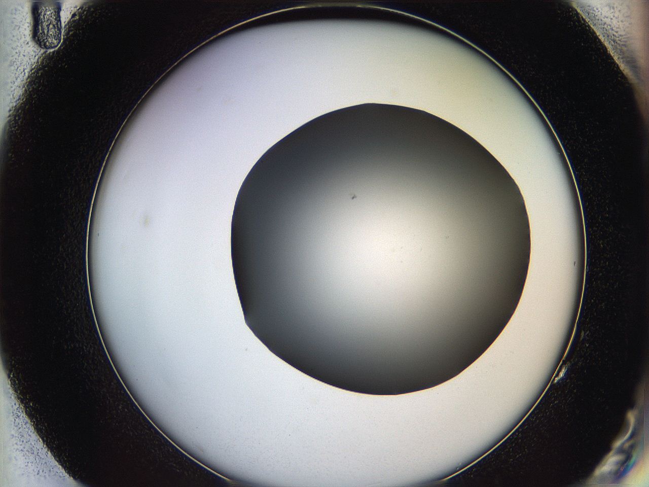 05ya_G11_ImagerDefaults_0.jpg