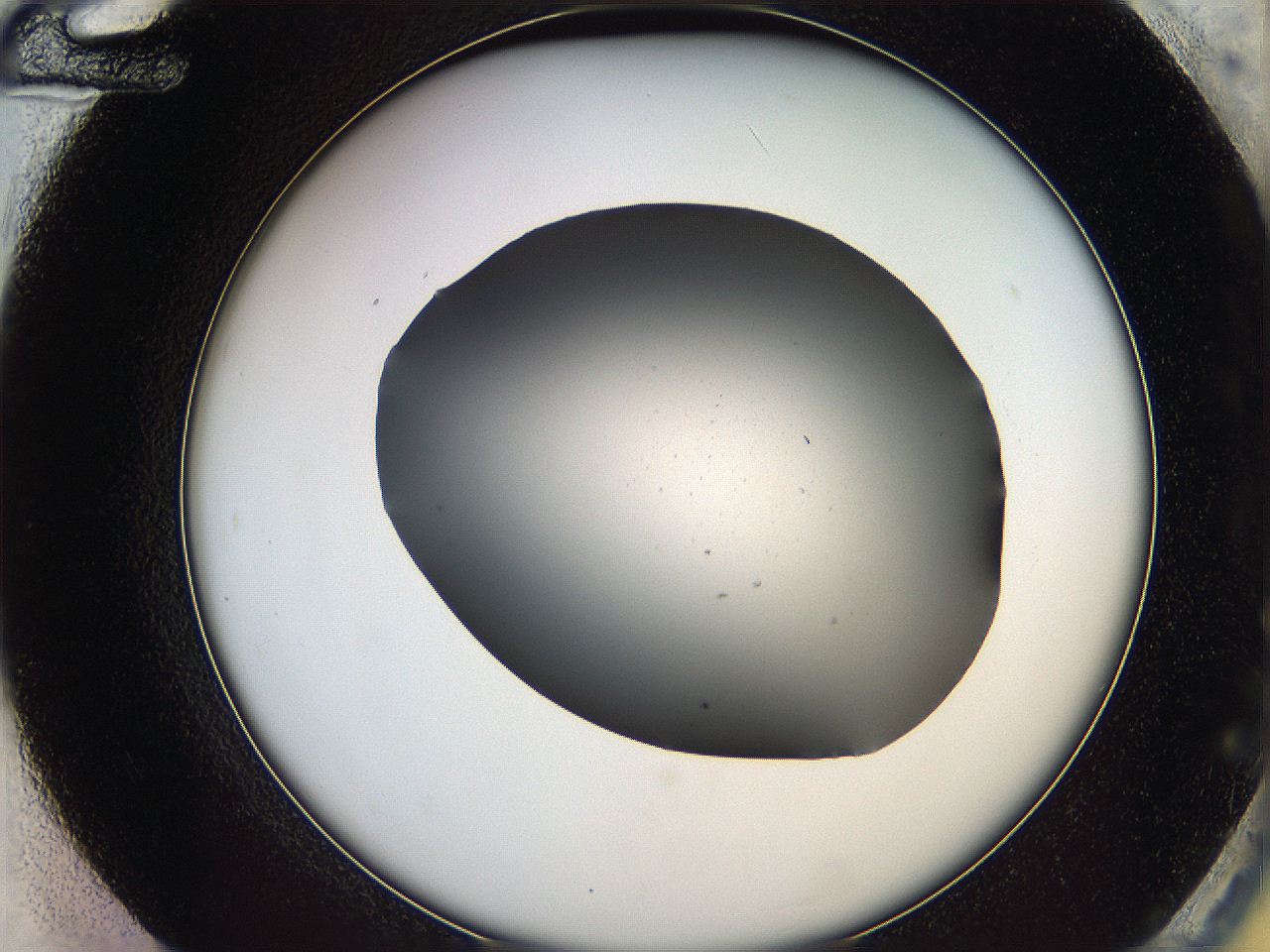 05ya_G12_ImagerDefaults_0.jpg