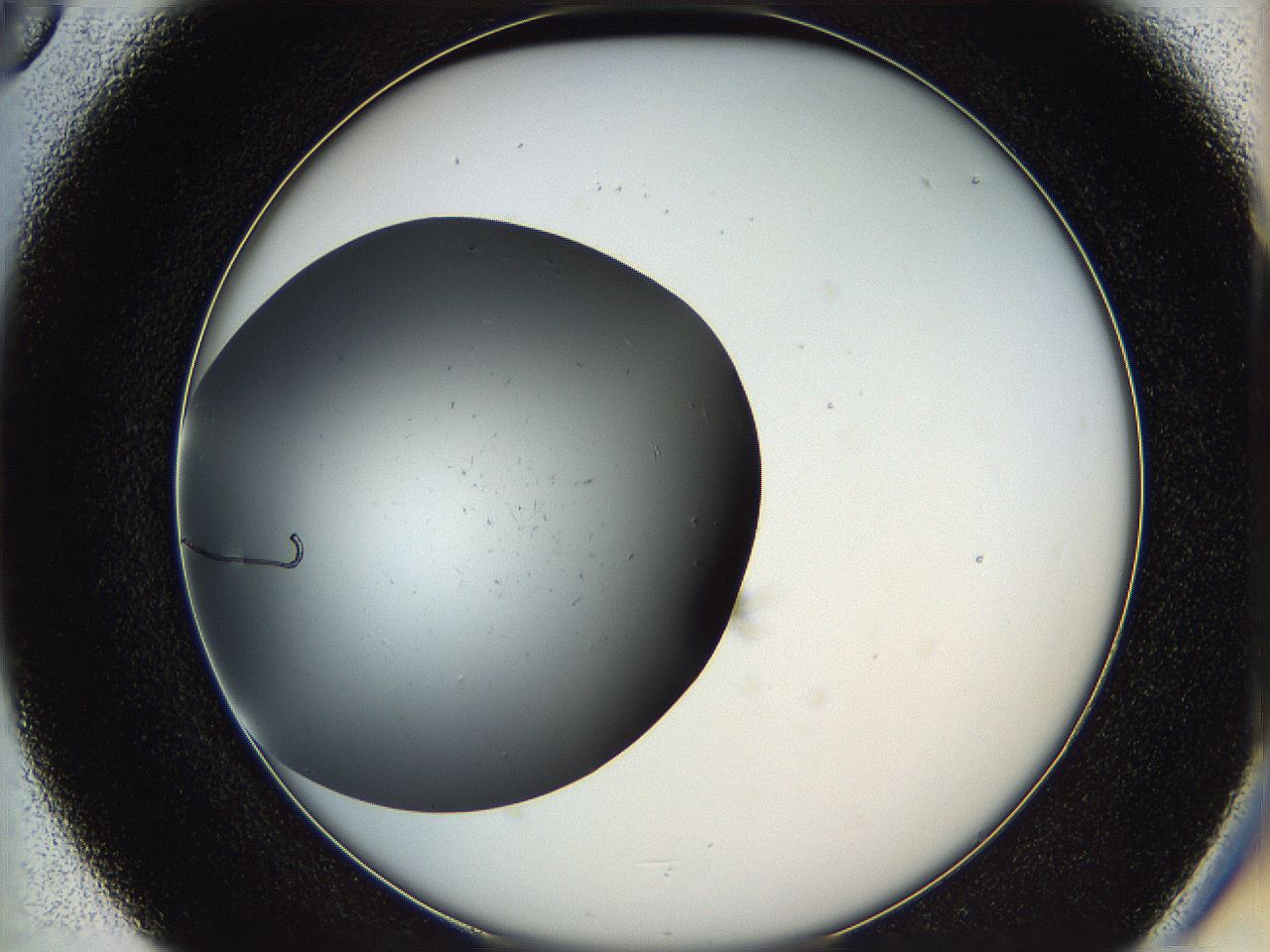 05yb_D5_ImagerDefaults_0.jpg