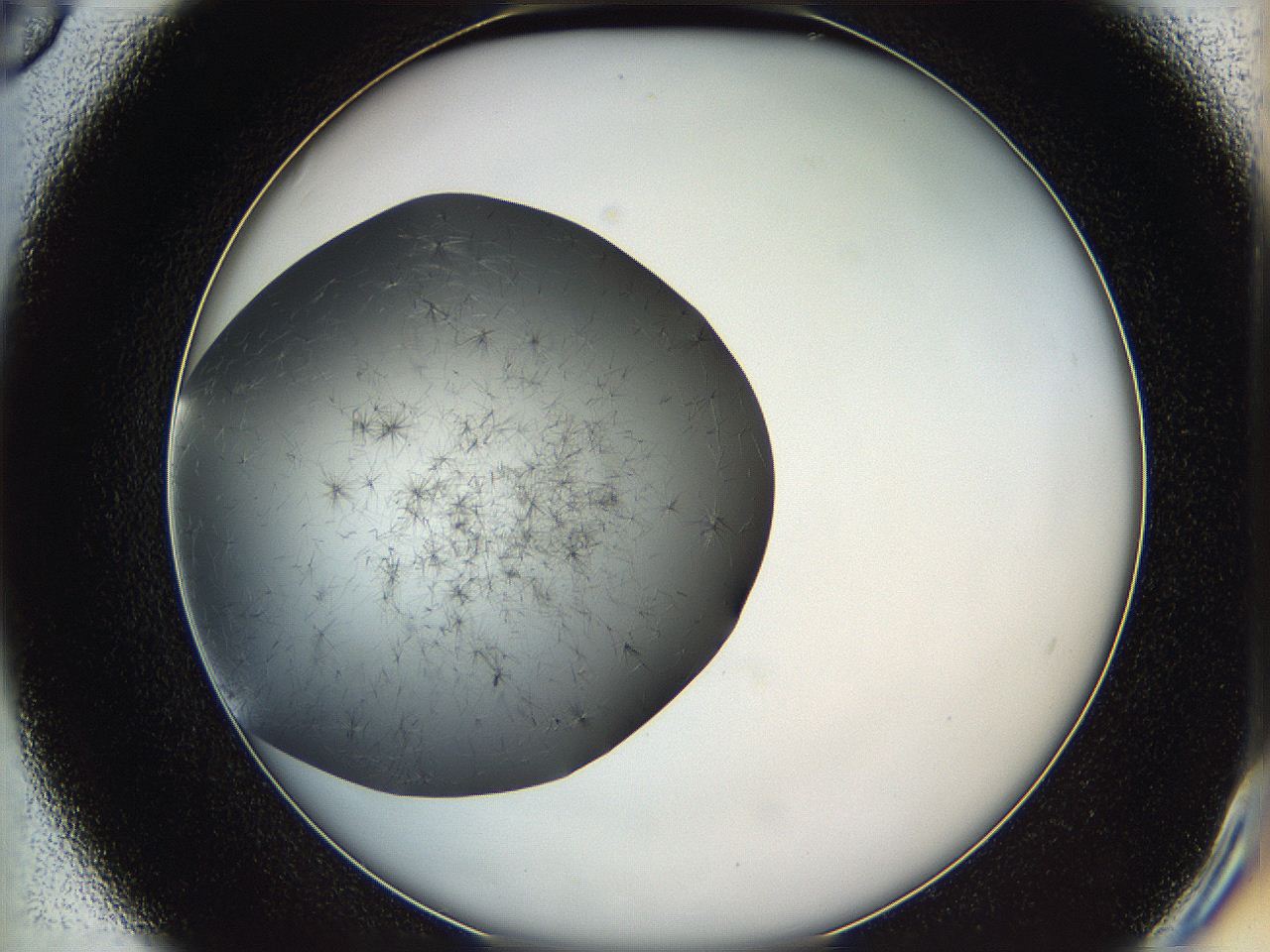 05yb_D6_ImagerDefaults_6.jpg