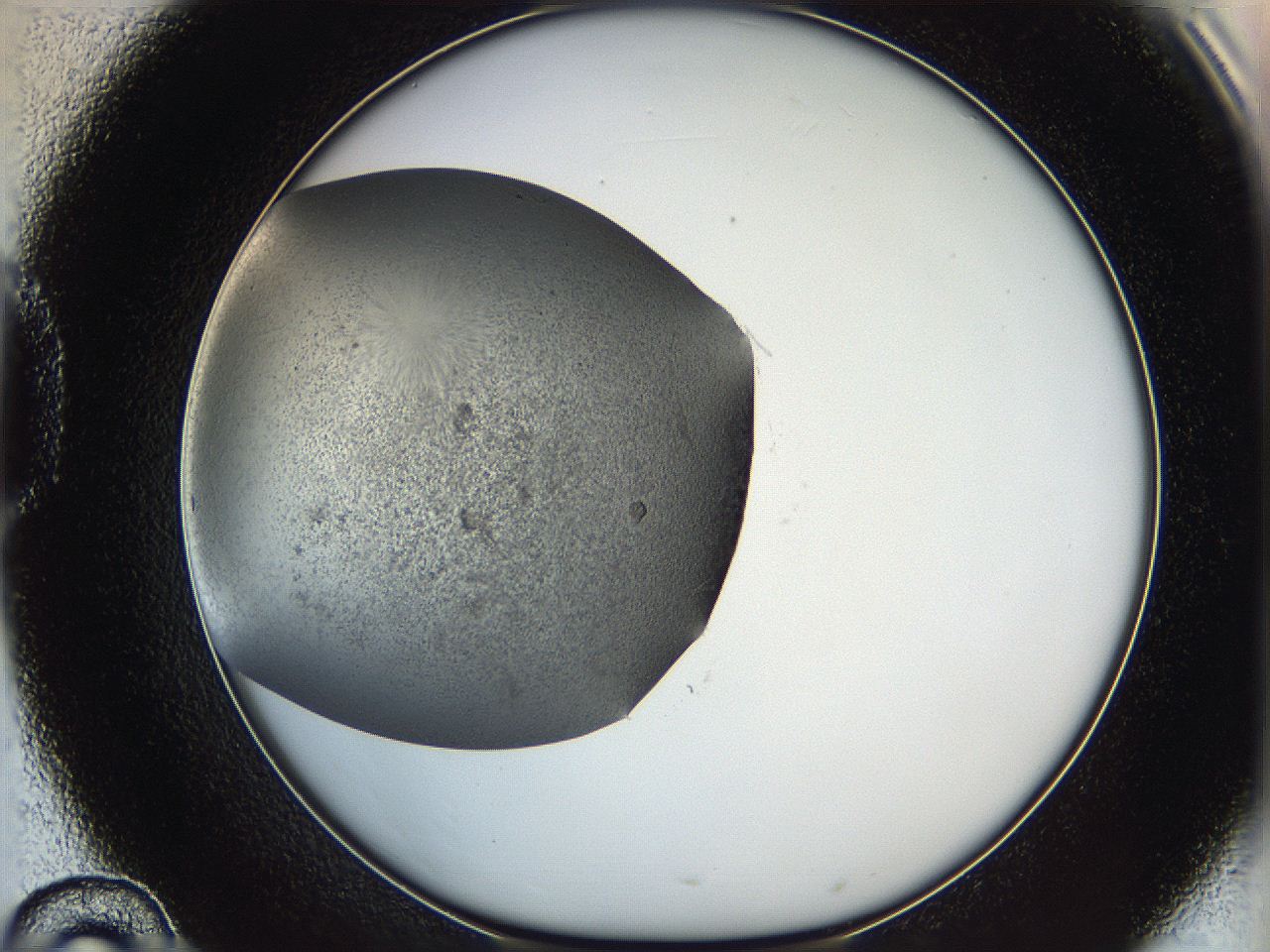 05yb_D10_ImagerDefaults_6.jpg